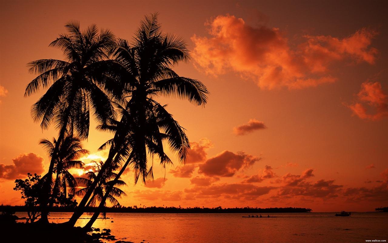 1280x800 Tropical Beach Sunset Background .itl.cat