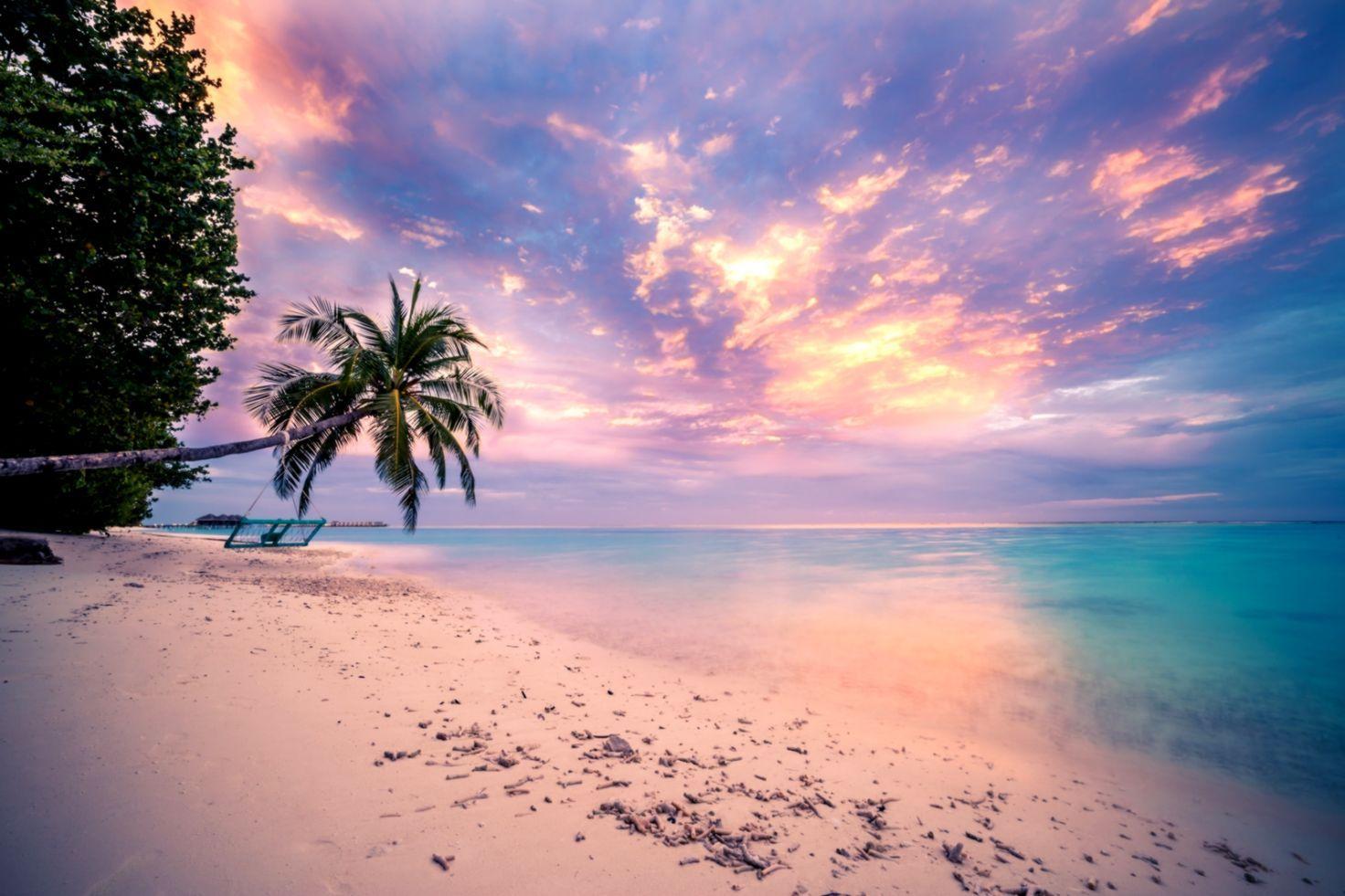 Purple Tropical Sunset Beach Wallpapers - Top Free Purple Tropical