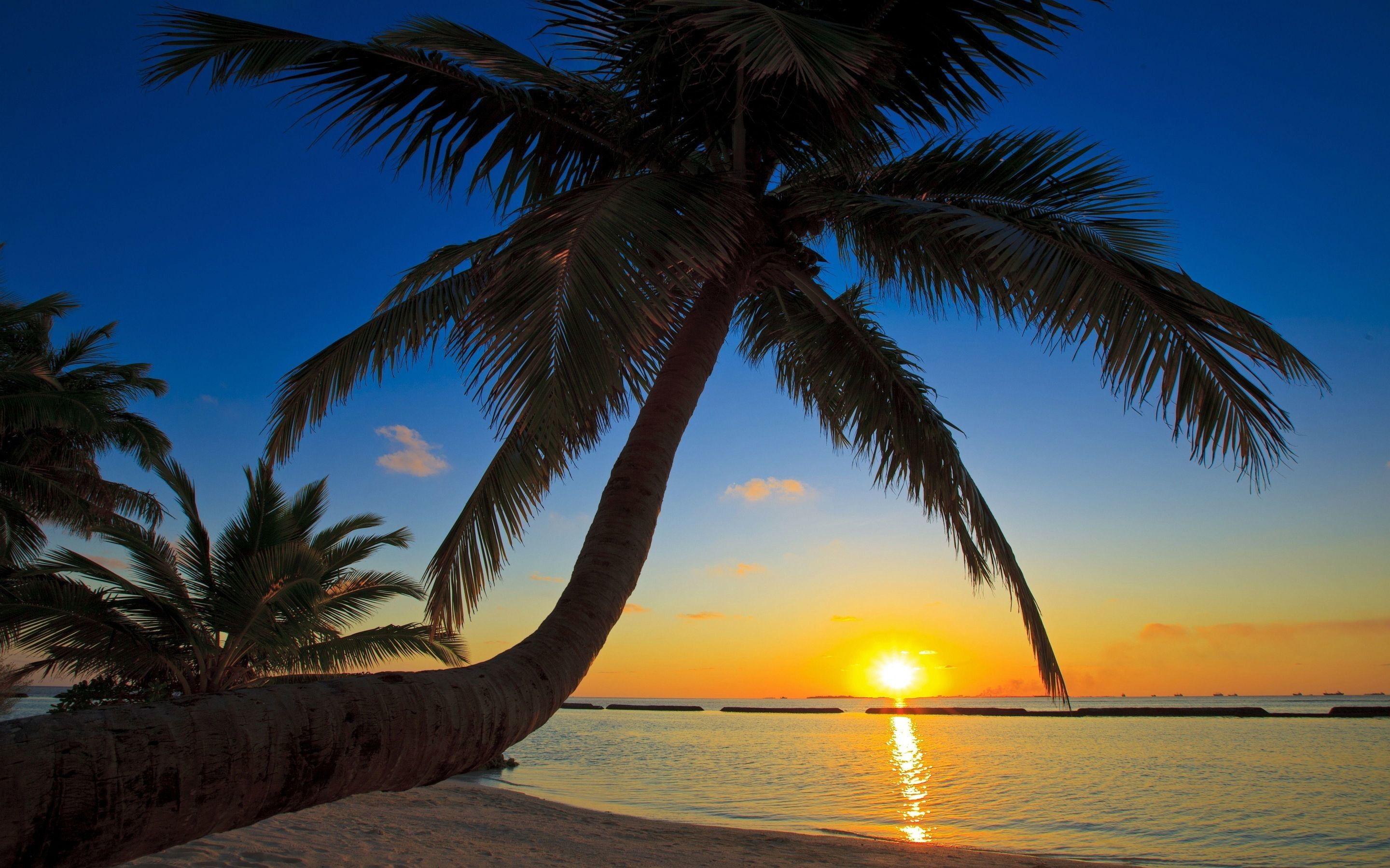 2880x1800 2880x Sunset Beach Wallpaper 2880ã—1800 Beach Wallpaper Sunset