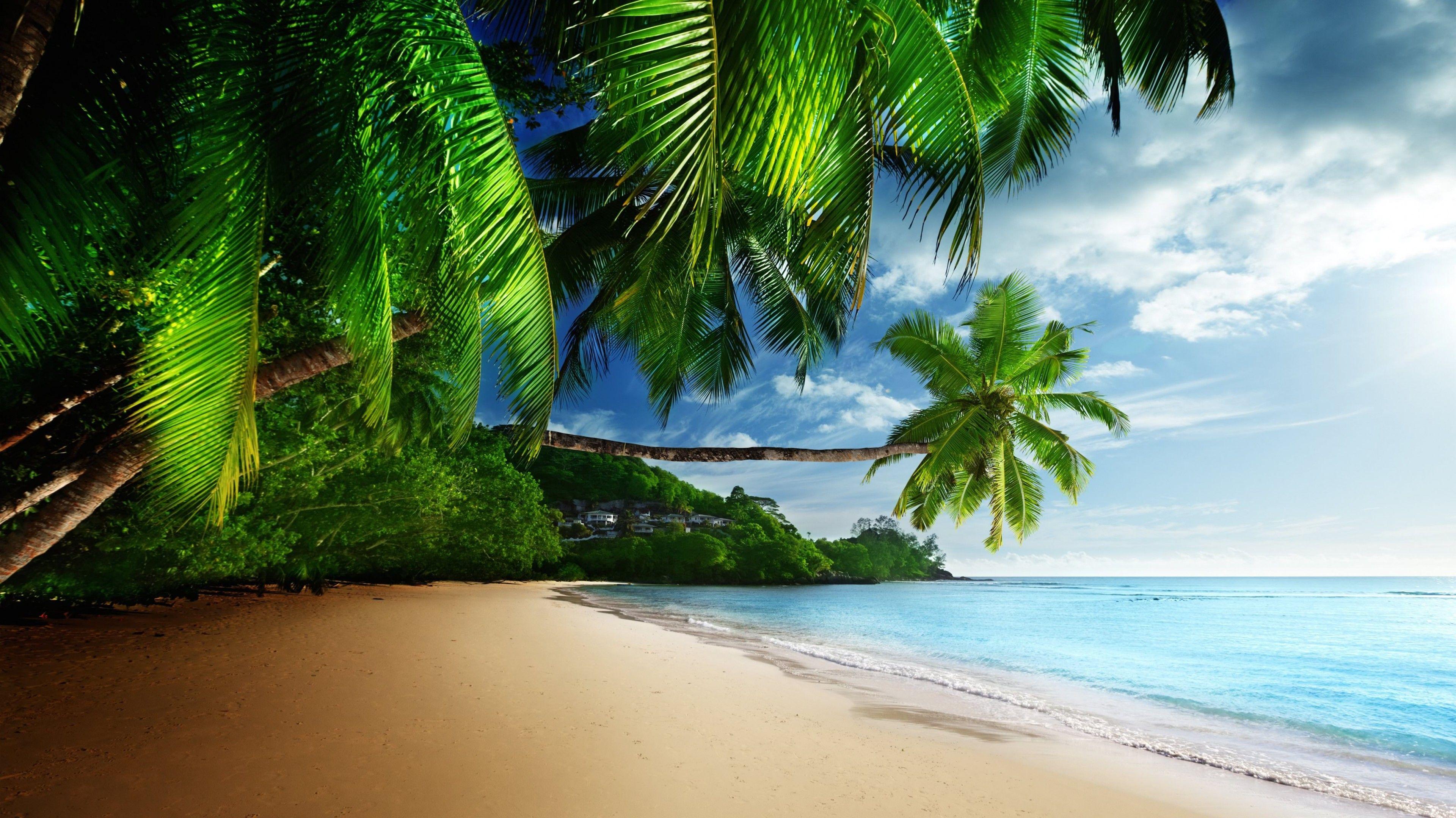 3840x2160 Tropical Paradise Beach 4K