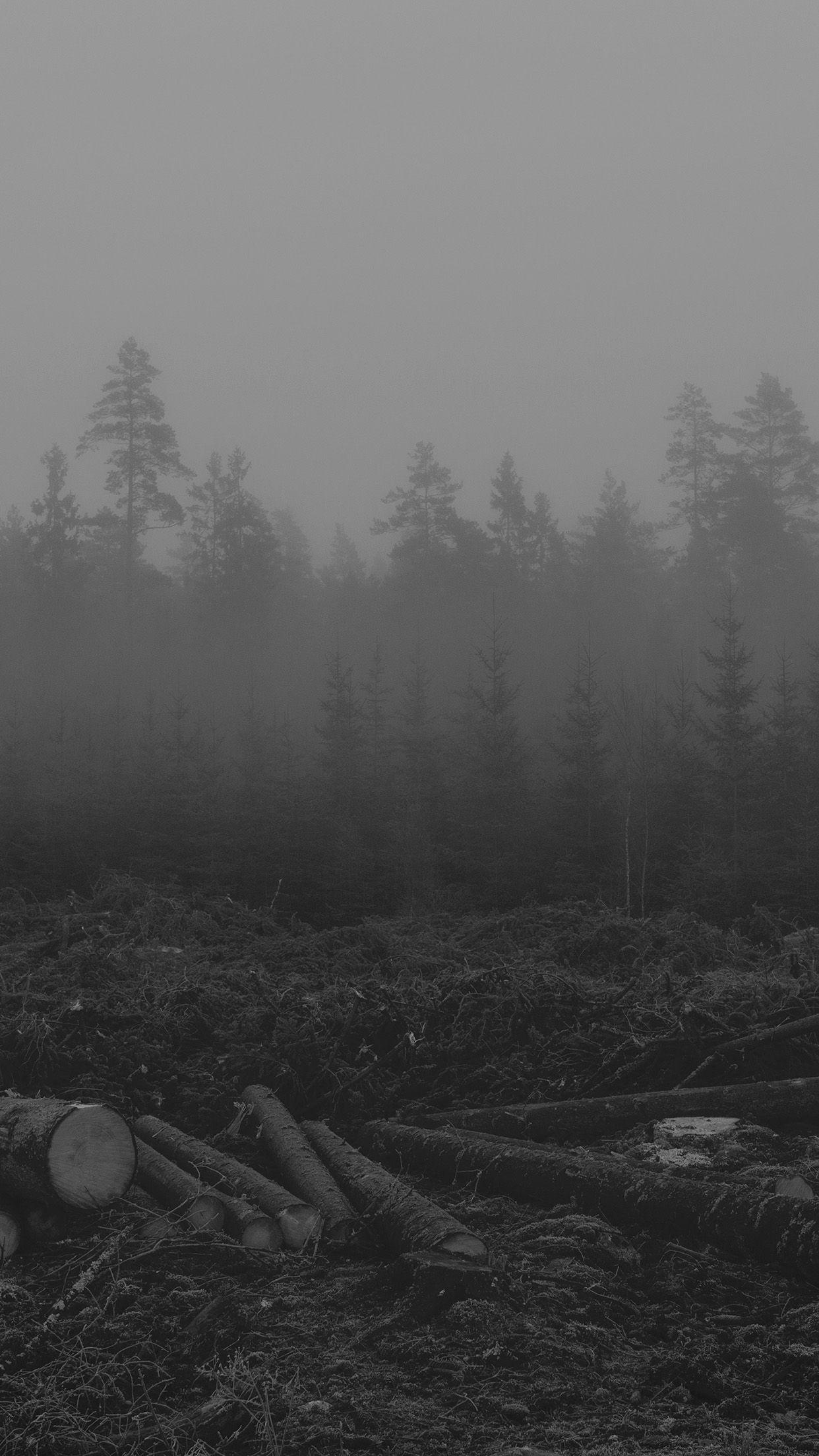 1242x2208 iPhone Nature Wallpaper Black And
