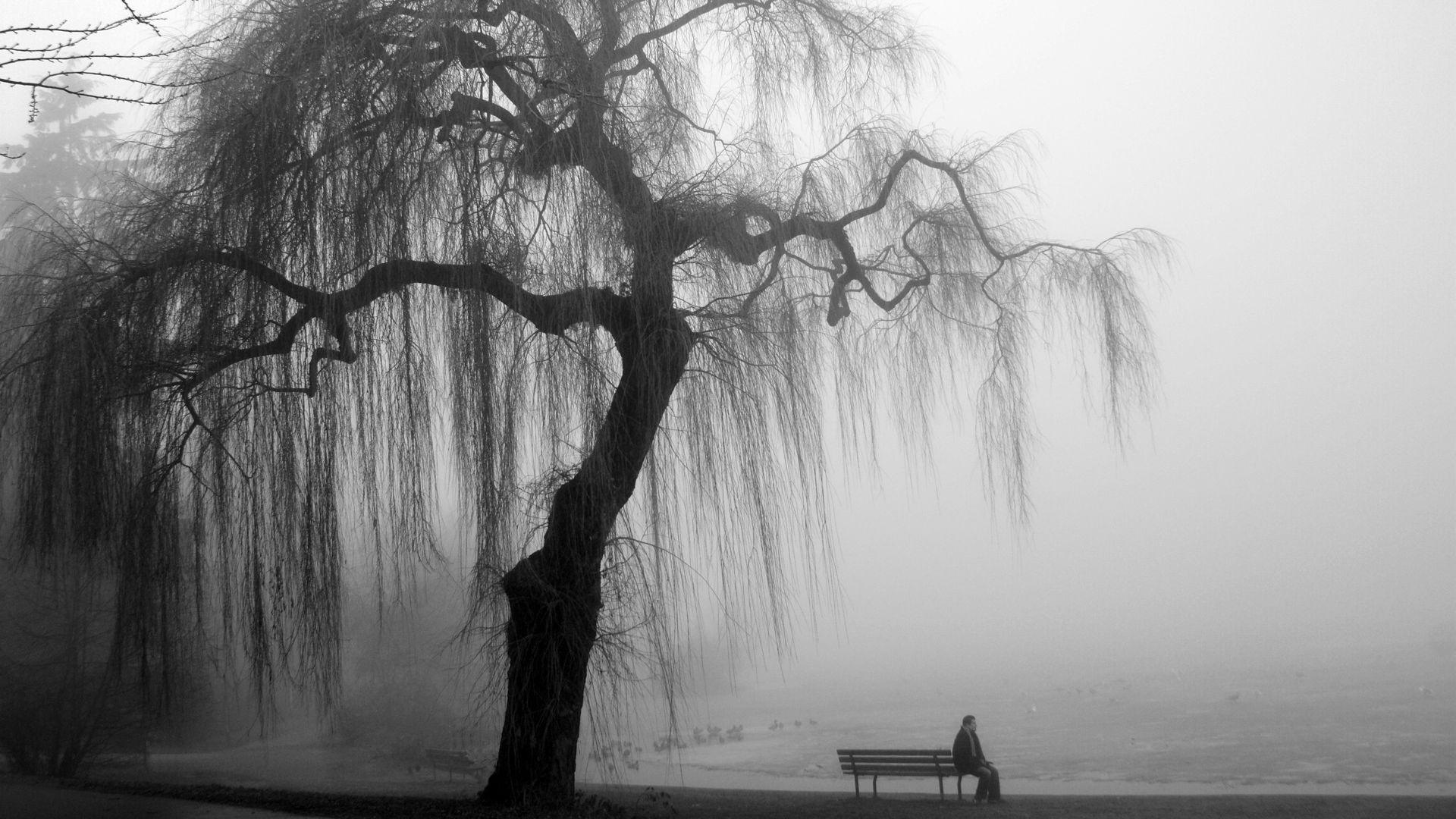 1920x1080 Nature Black And White HD Wallpaper .