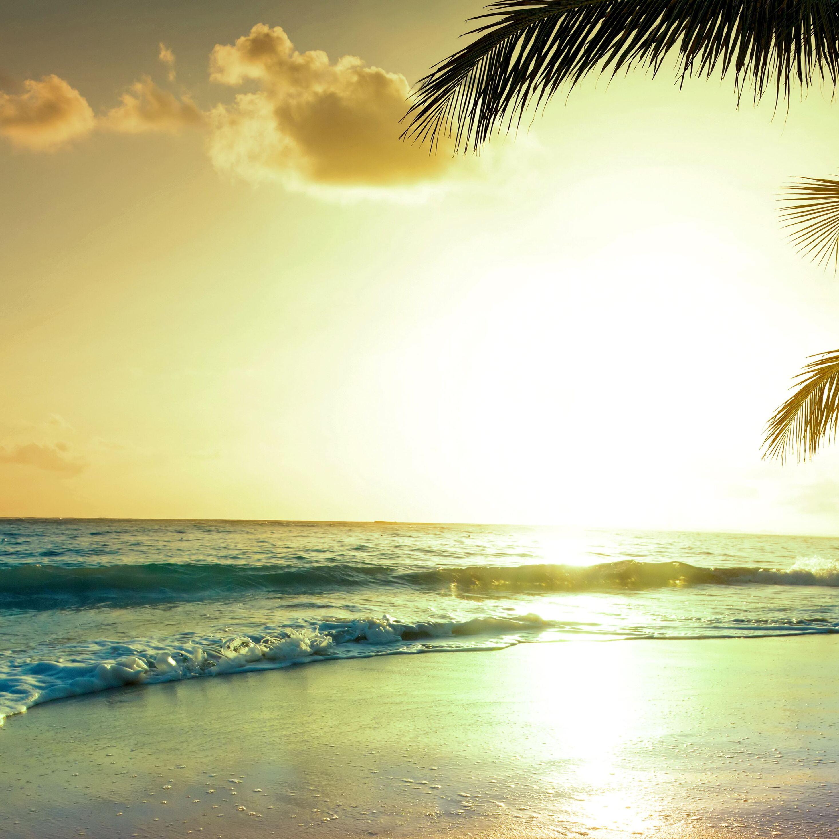 Tropical Beach Sunset HD Wallpapers - Top Free Tropical Beach Sunset HD ...