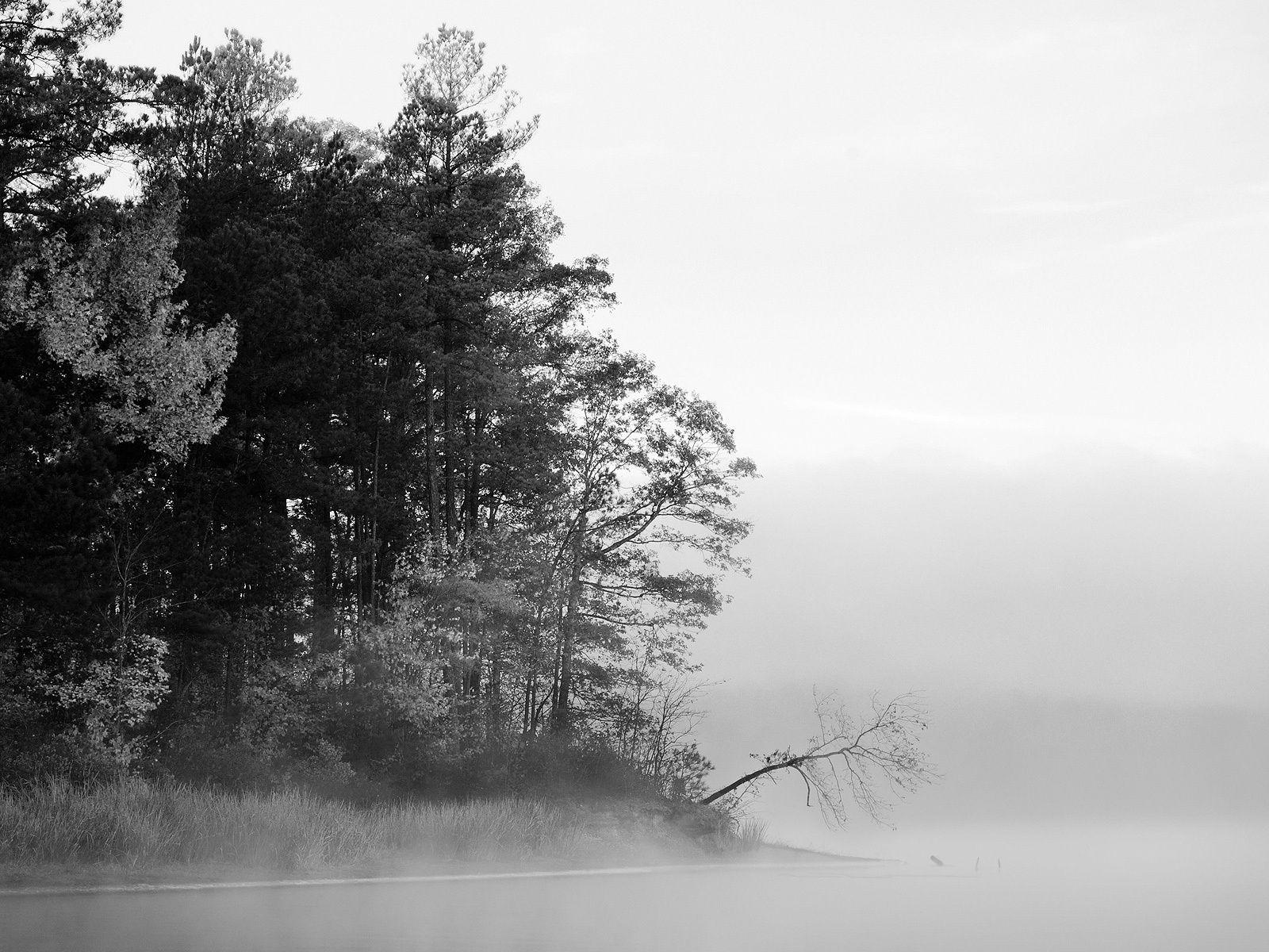1600x1200 Black And White Nature Wallpaper .