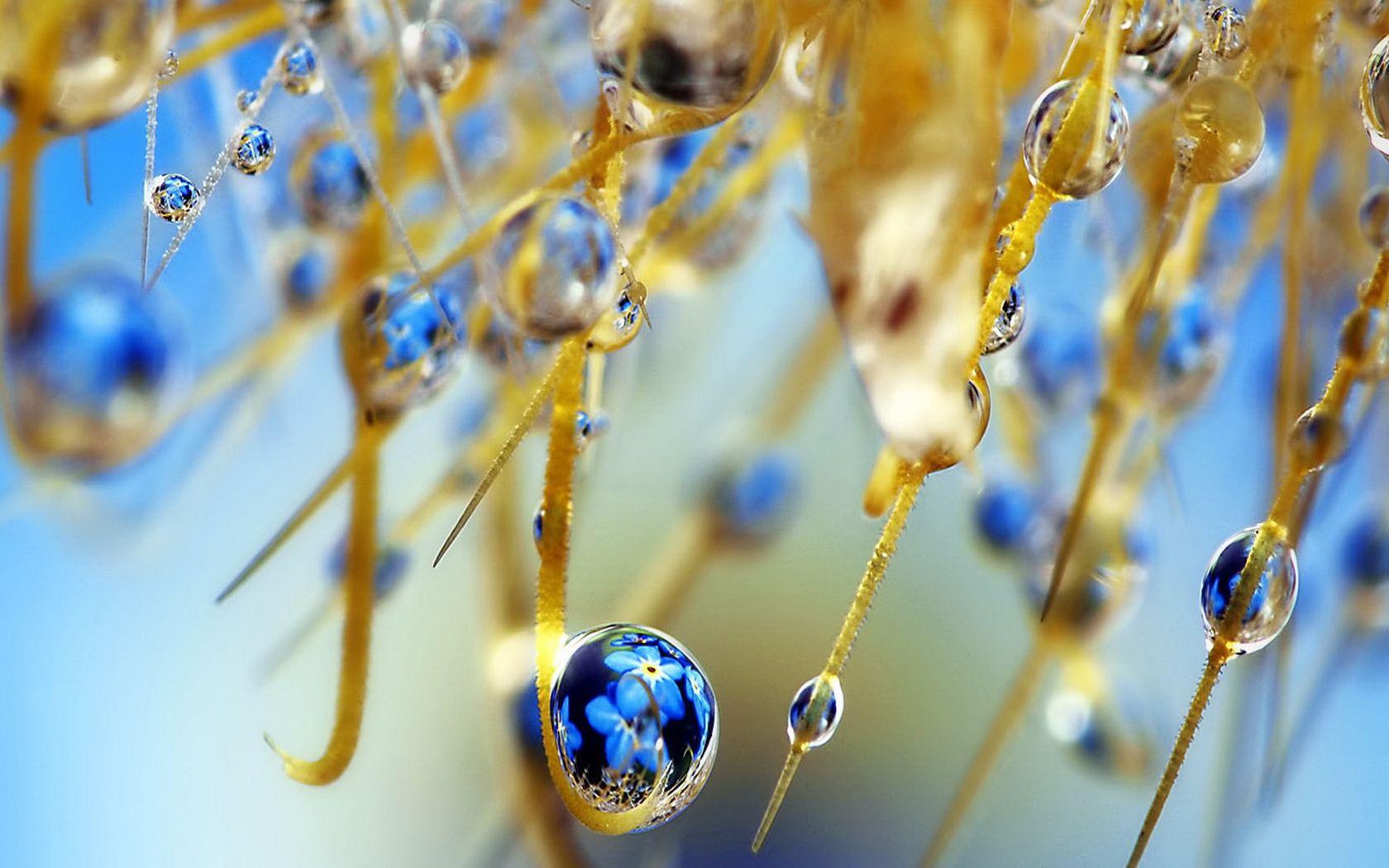 1680x1050 Water Drop Widescreen Wallpaper .