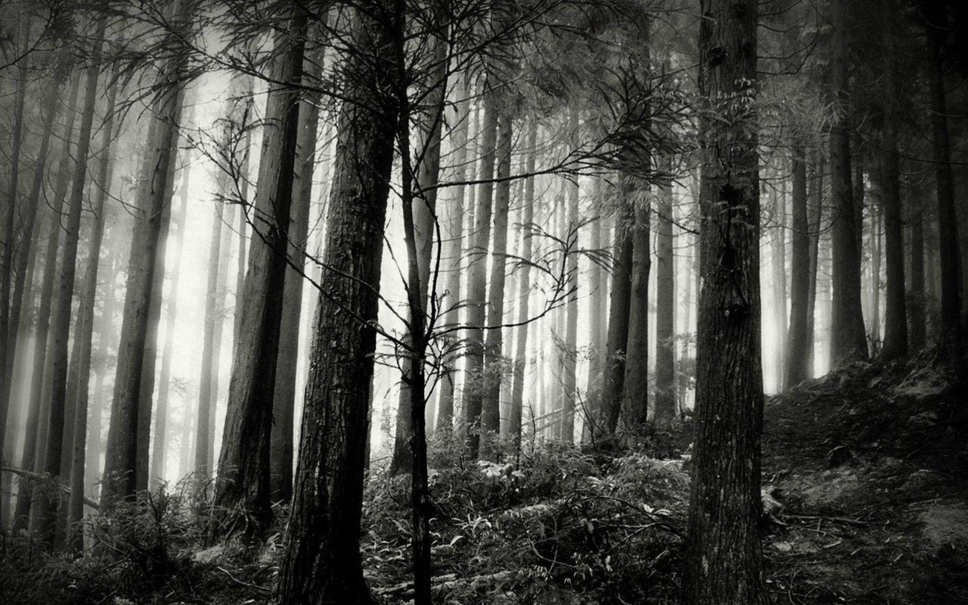 1920x1200 HD Black And White