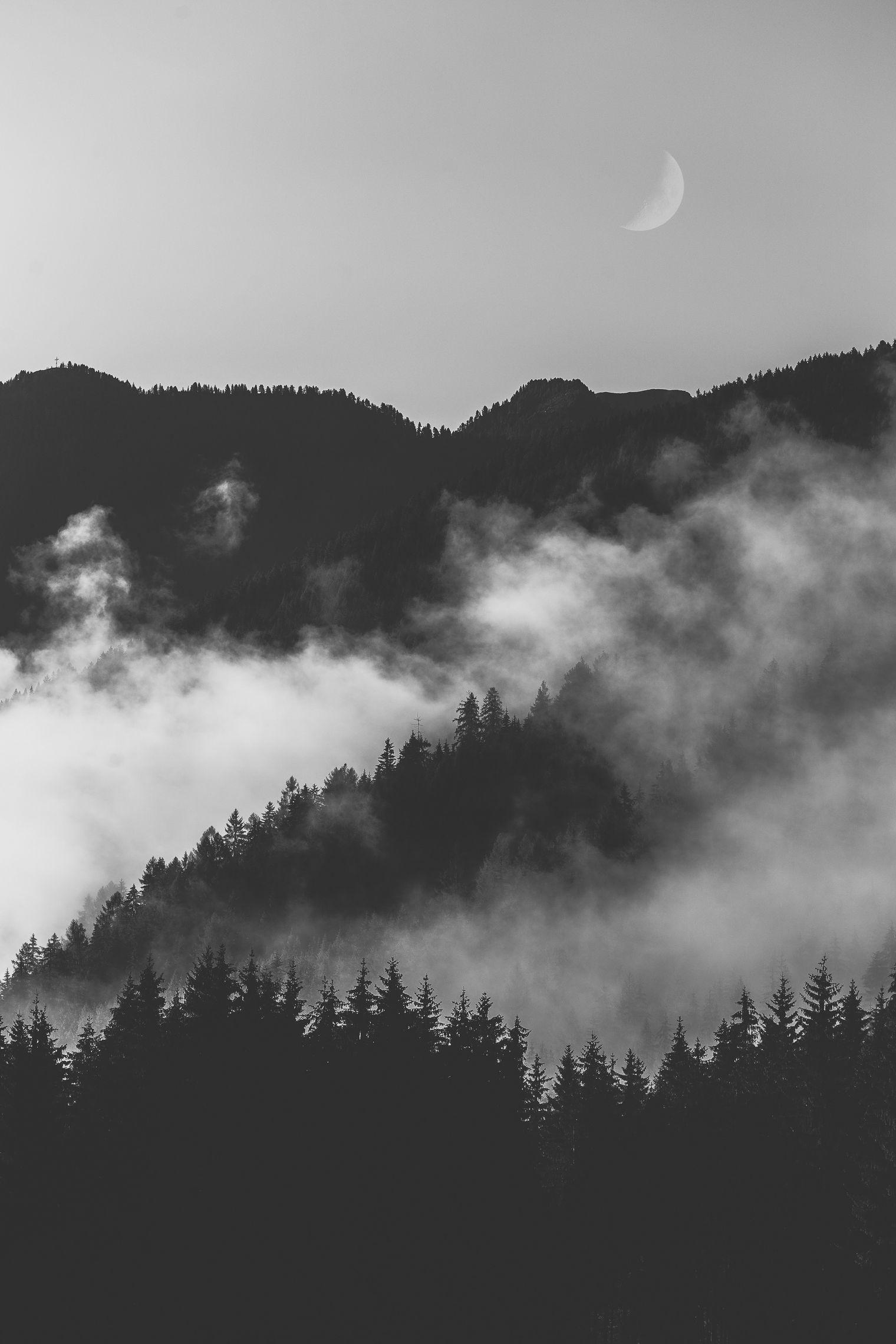 1520x2280 White iPhone Wallpaper Background .com