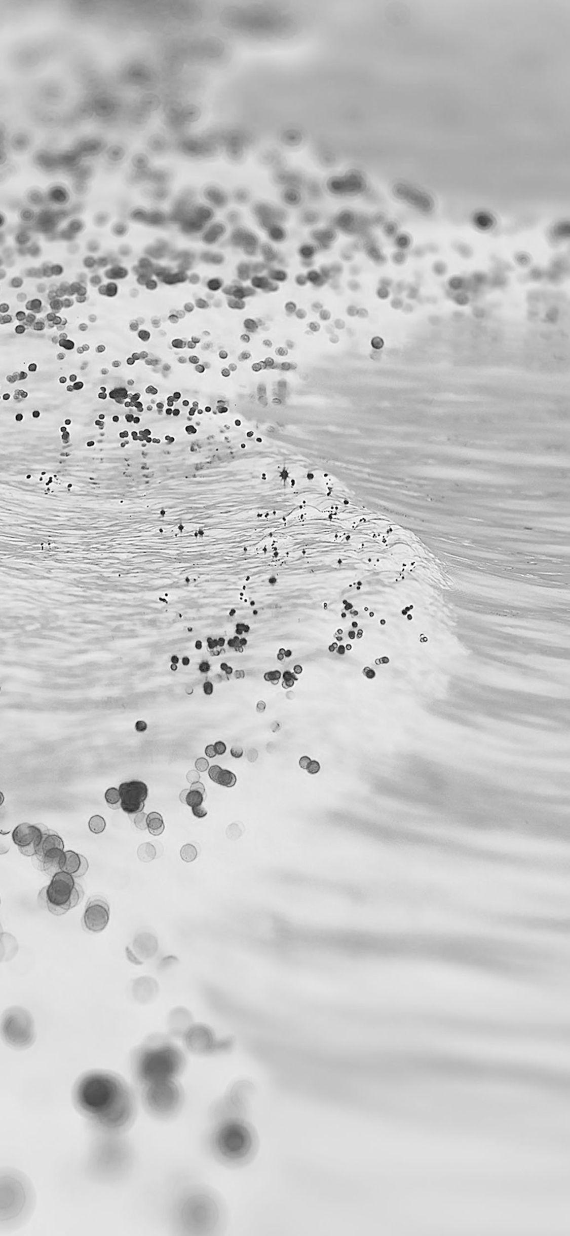 1125x2436 iPhone 11 Pro Max Black White .
