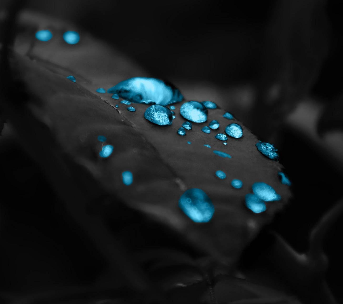 1440x1280 Hd water drops Wallpaper by ZEDGE™