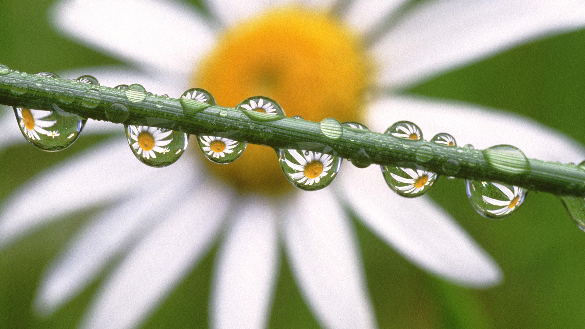 1920x1080 Water Drop wallpaper 1920x1080 Full HD .