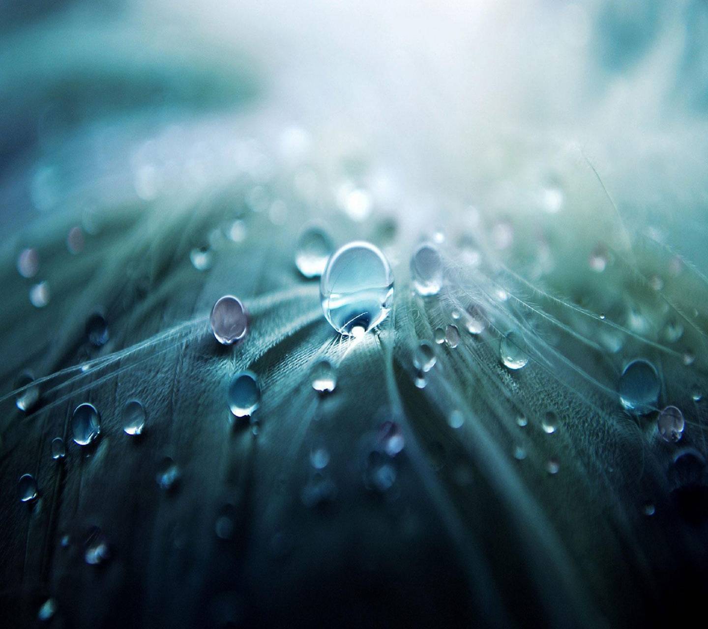 1440x1280 3D Water Drop wallpaper by _sn0w_ .