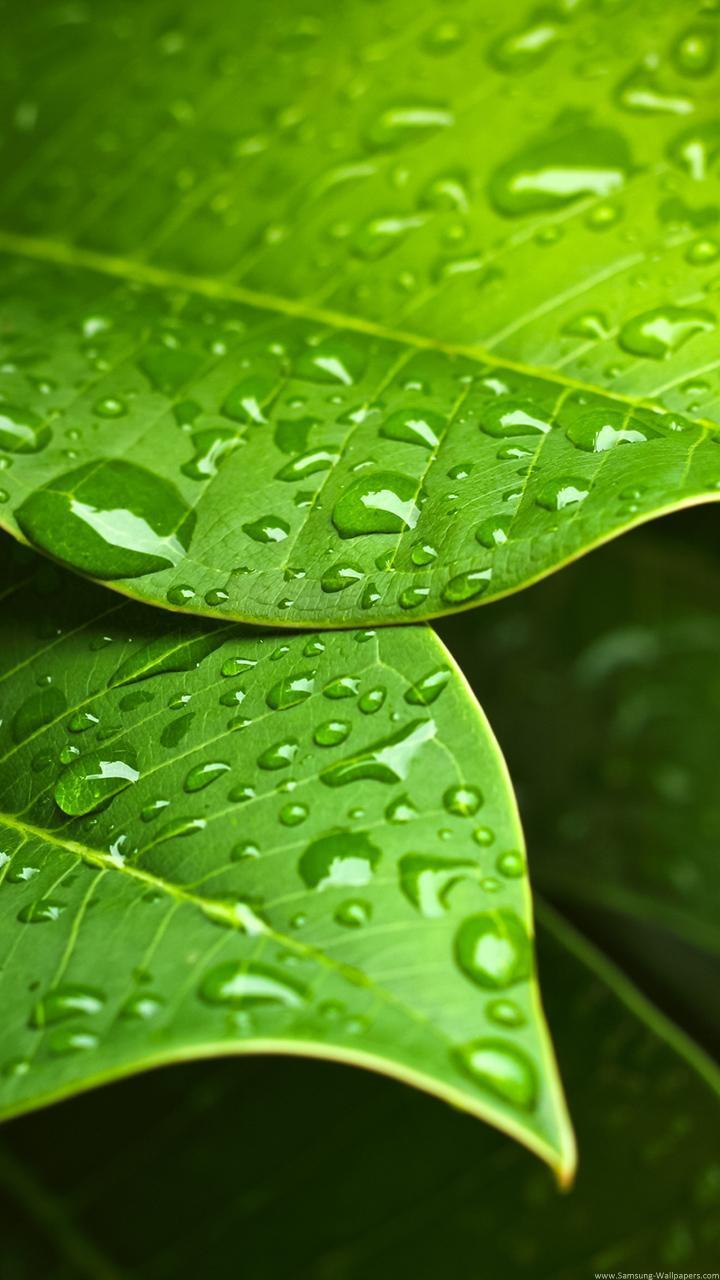 720x1280 Water Drop Wallpaper for Android .