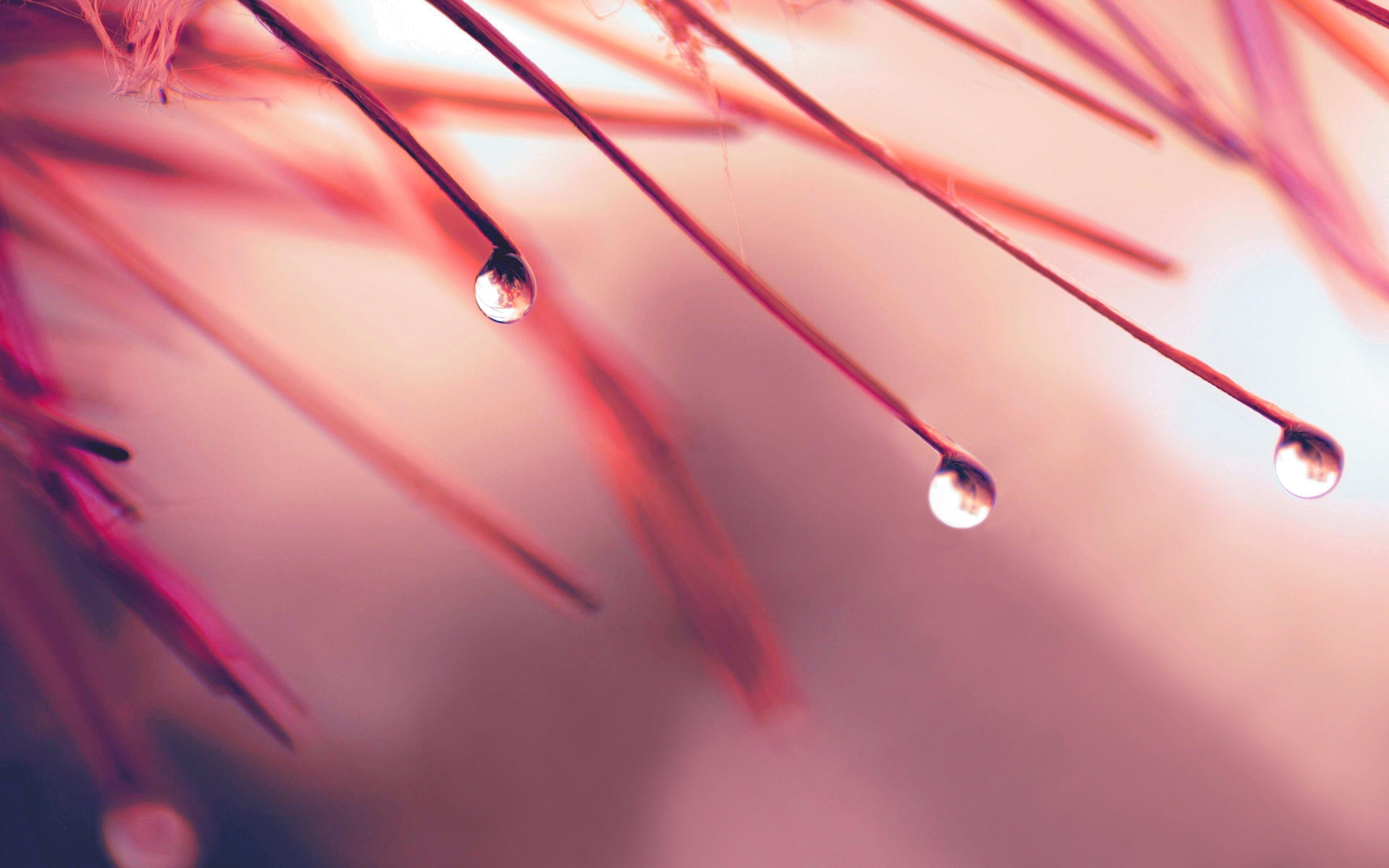 3840x2400 Water Drop Wallpaper for Desktop .