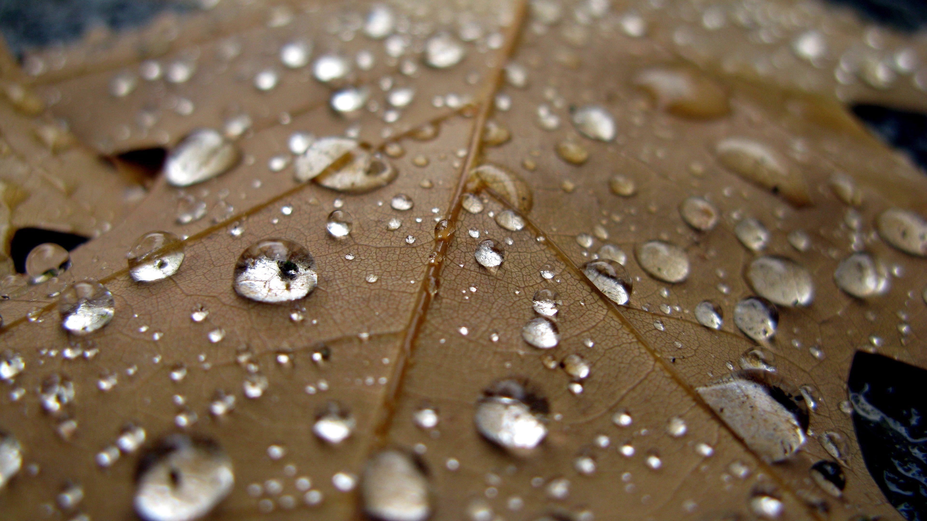 3840x2160 Drop 4K wallpaper for your desktop or .
