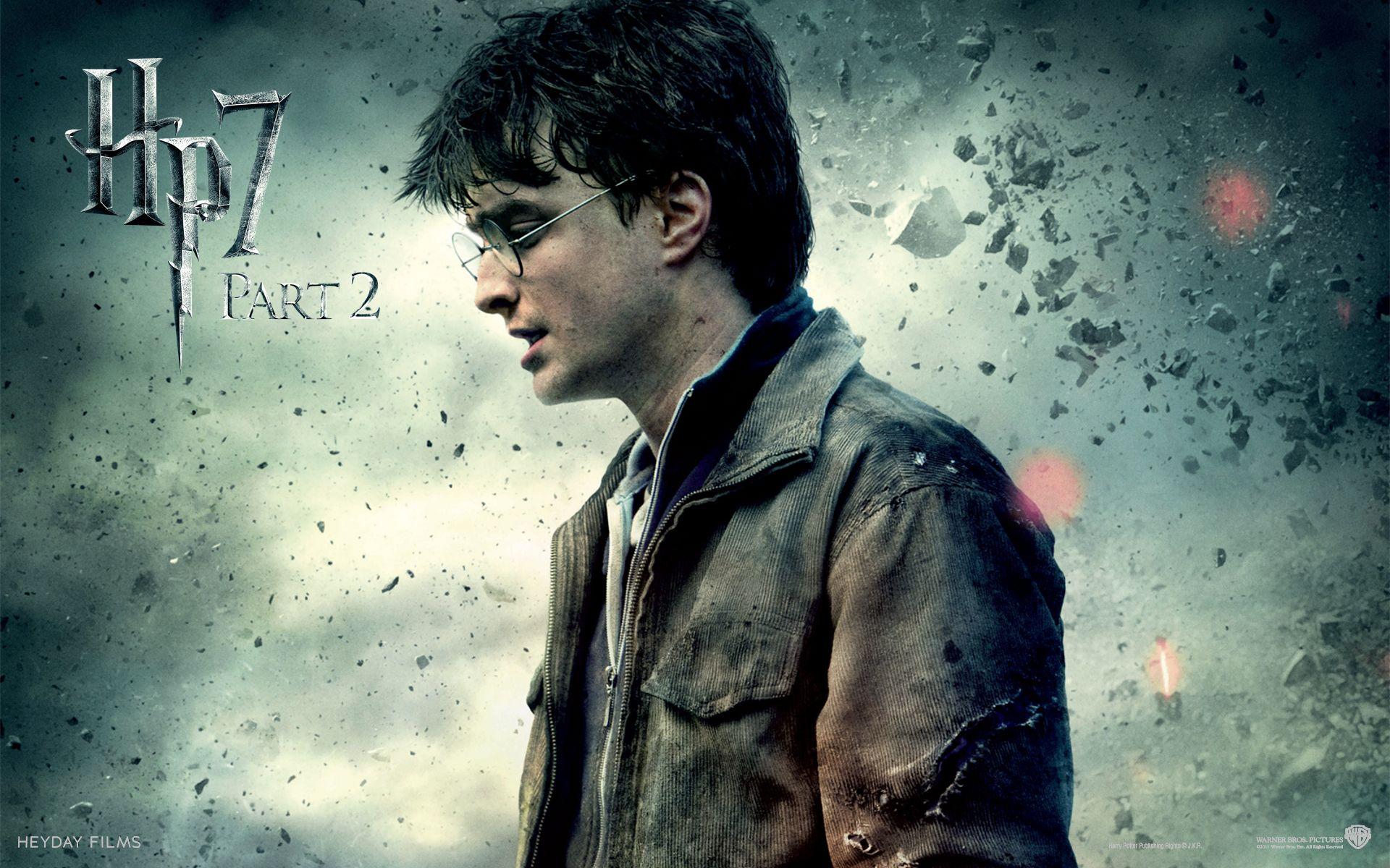 Harry potter 7. Гарри Поттер и дары смерти. Гарри Поттер 7 часть 2. Гарри Поттер и дары смерти: часть II фильм 2011. Гарри Поттер в профиль.