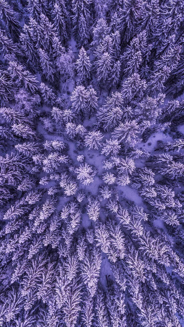 736x1308 Ultra Violet Pantone iPhone Wallpaper .es