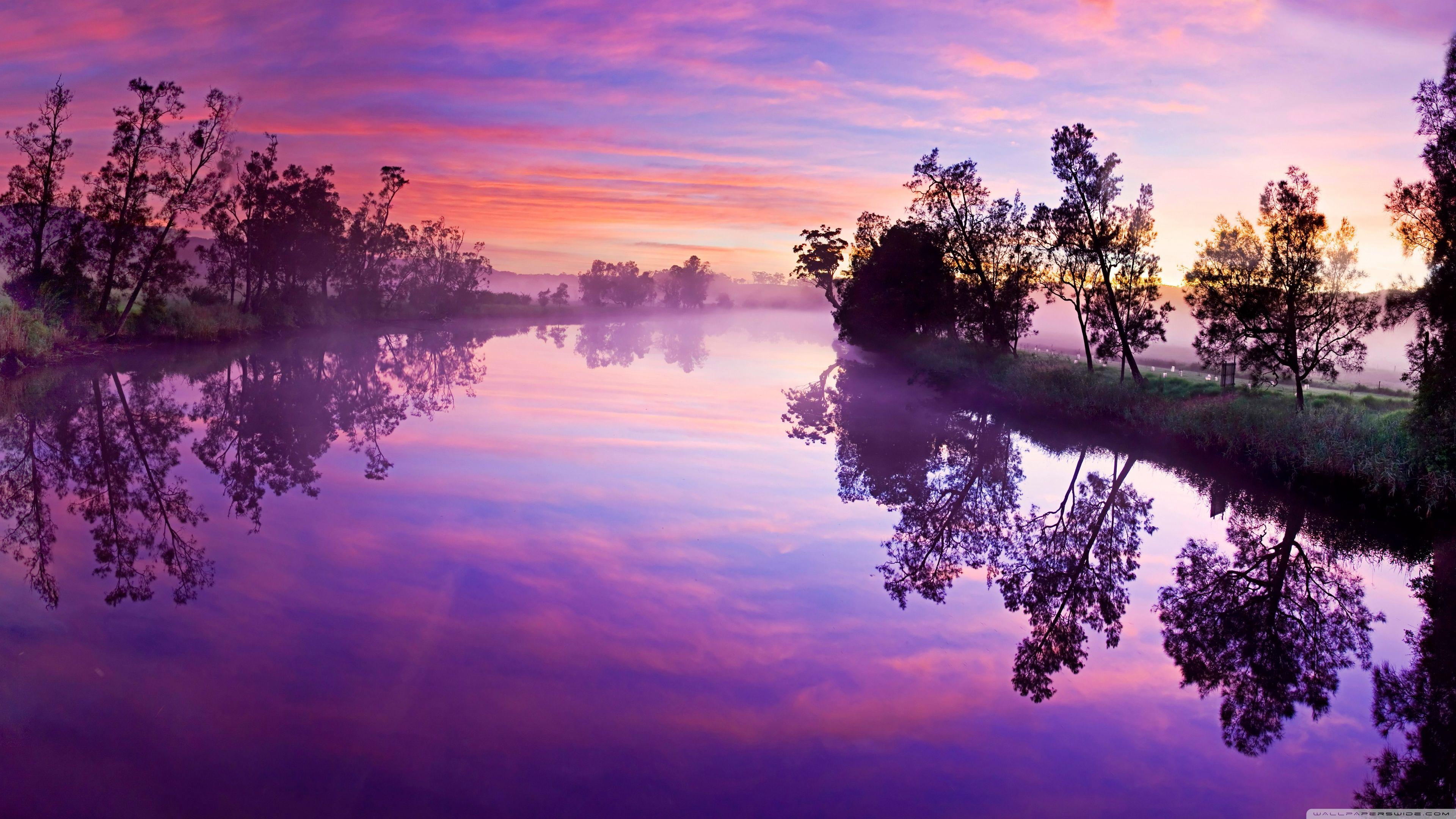 3840x2160 Purple 4k Wallpaper