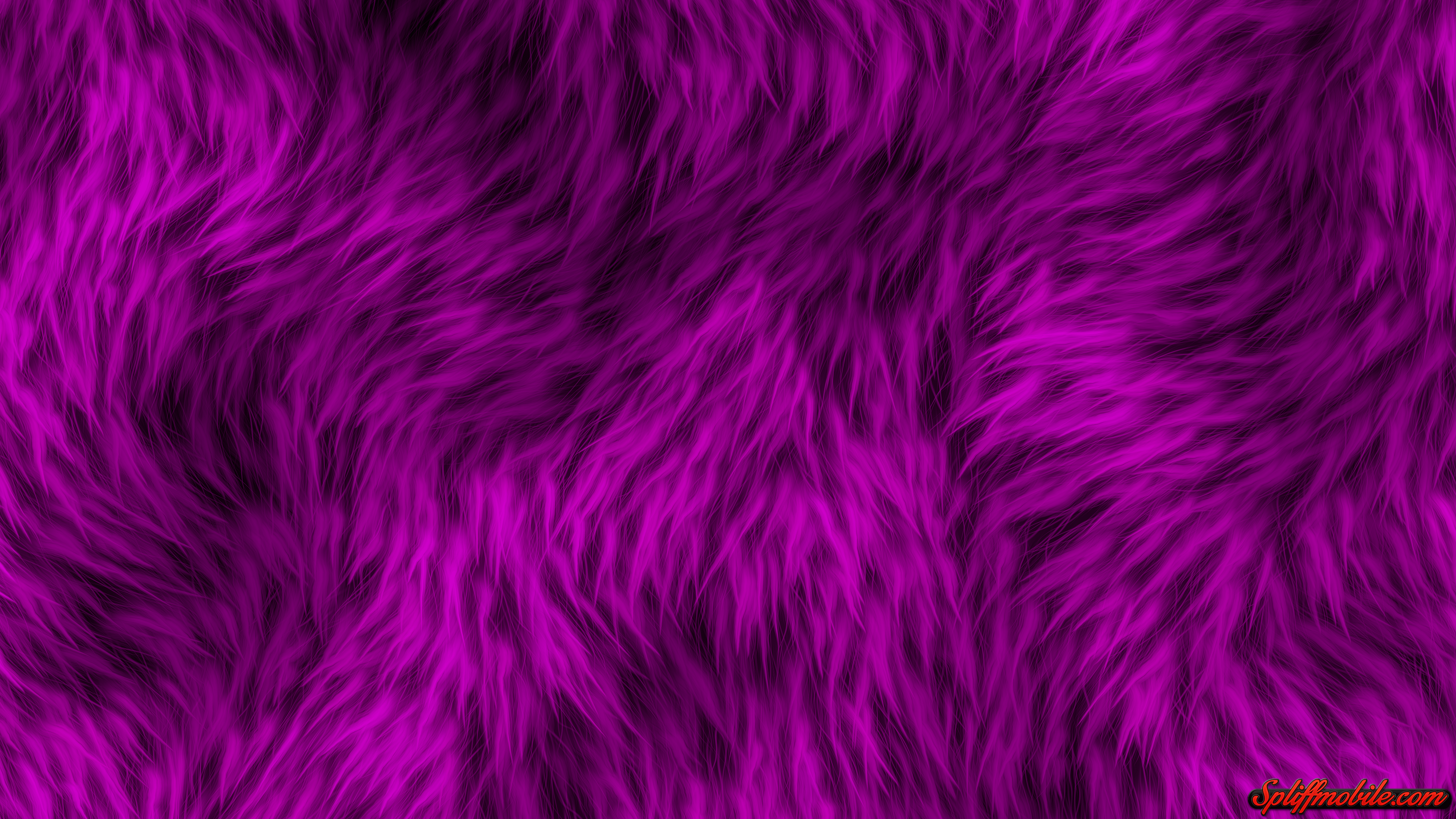 3840x2160 Purple Fur Wallpaperwallpaper.dog