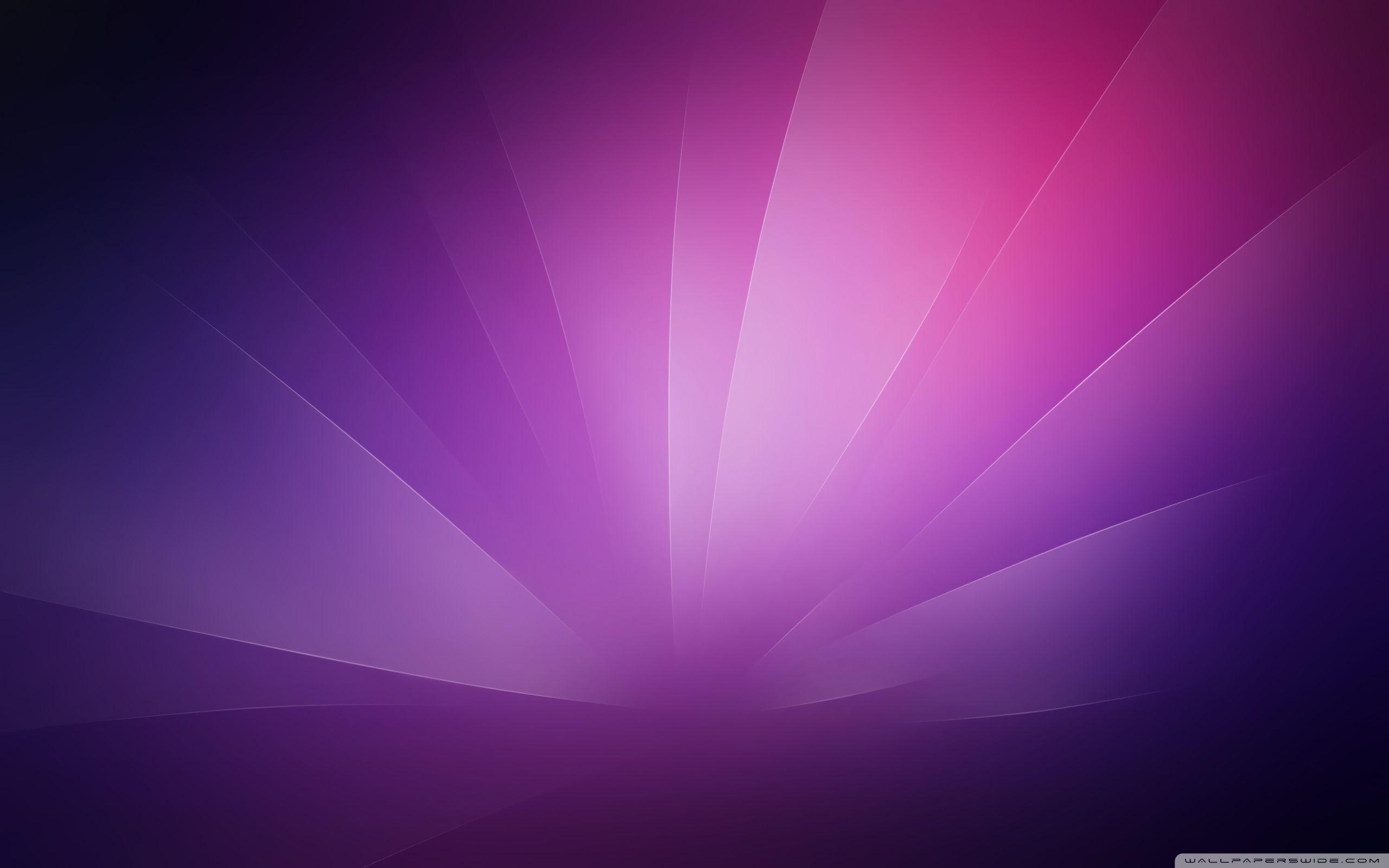 2560x1600 Purple Minimalist Wallpaper .