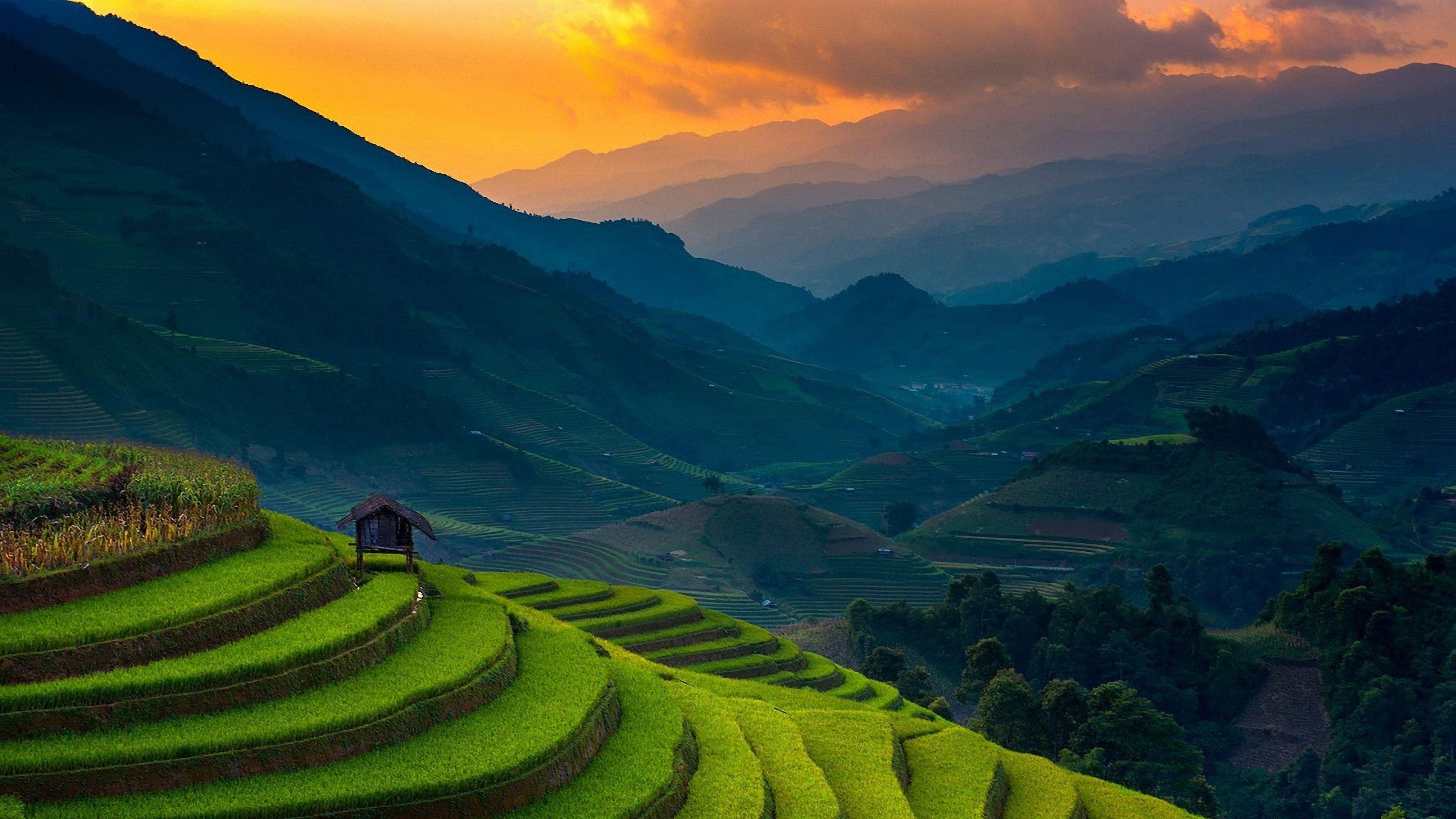 Rice Terraces HD Wallpapers - Top Free Rice Terraces HD Backgrounds