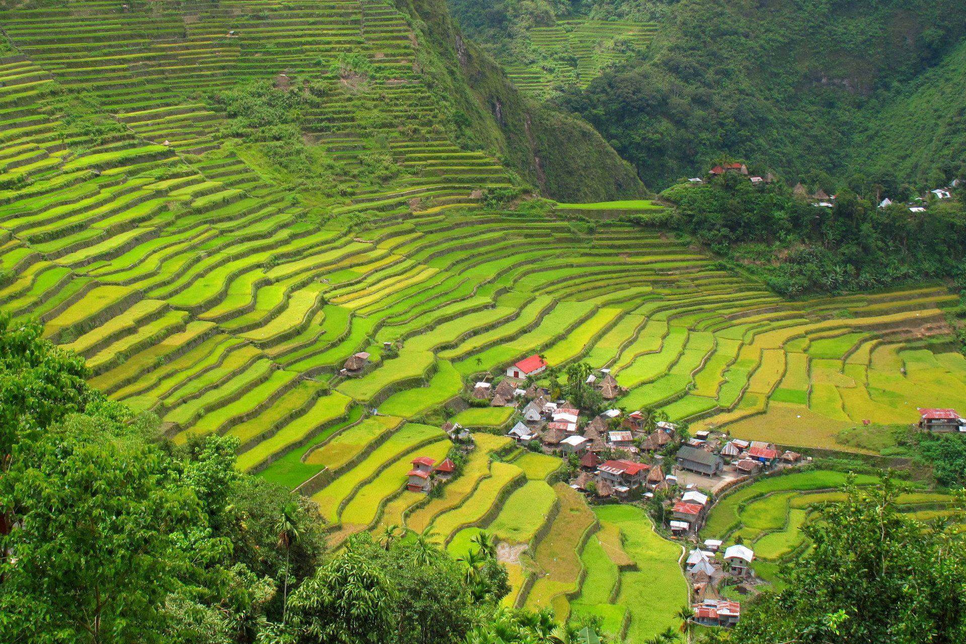 Rice Terraces HD Wallpapers Top Free Rice Terraces HD Backgrounds   5177593 