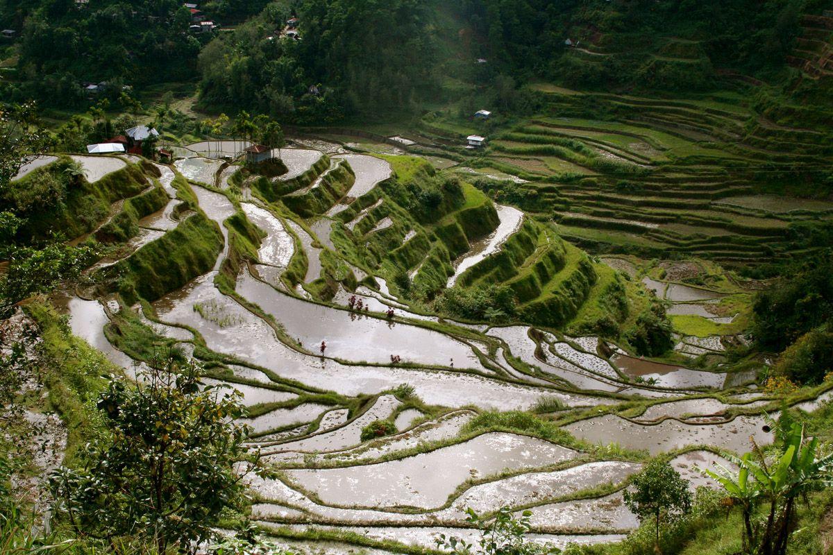 1200x800 Rice Terrace wallpaper, Man Made, HQ .