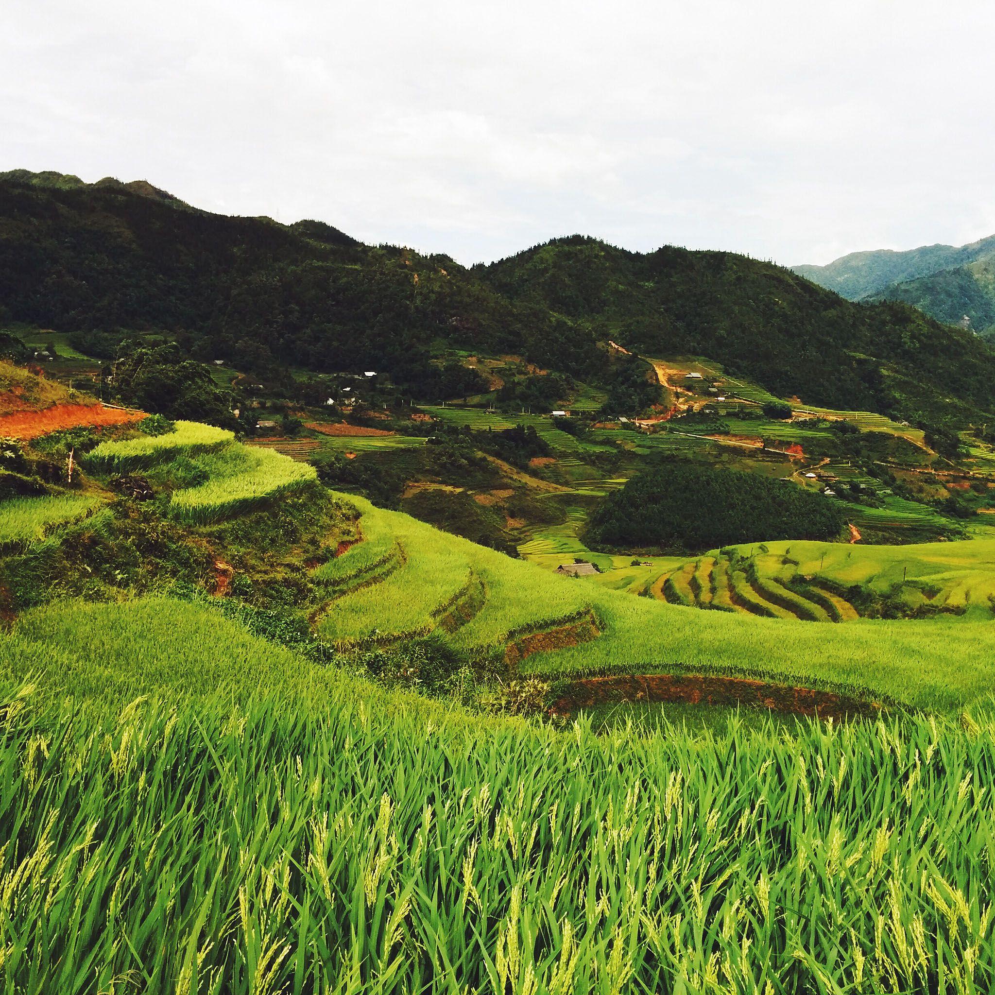 Sapa Vietnam Wallpapers - Top Free Sapa Vietnam Backgrounds ...