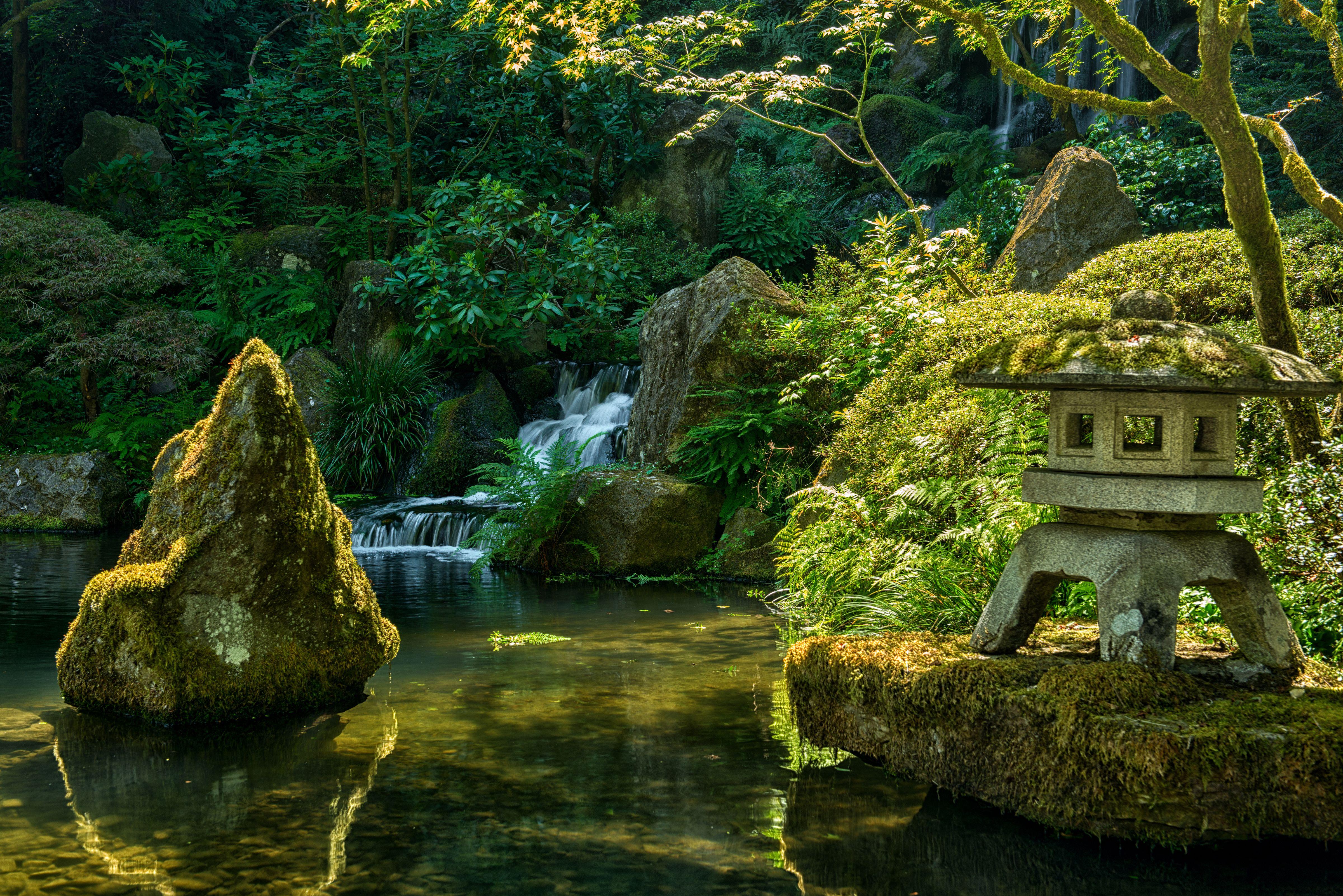 4800x3203 Zen HD Wallpaper and Background Image