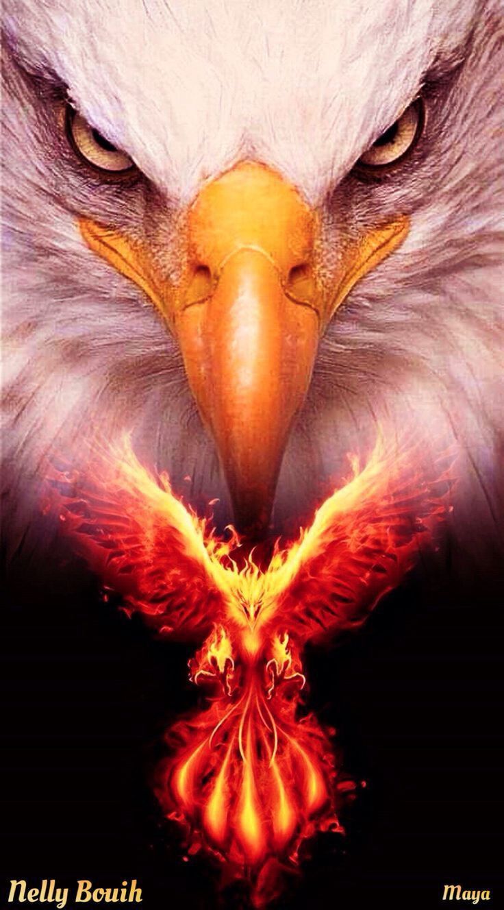 736x1328 Majestic Bald Eagle with Fire in its Beak. Red eagle wallpaper, Flaming eagle, Phoenix eagle