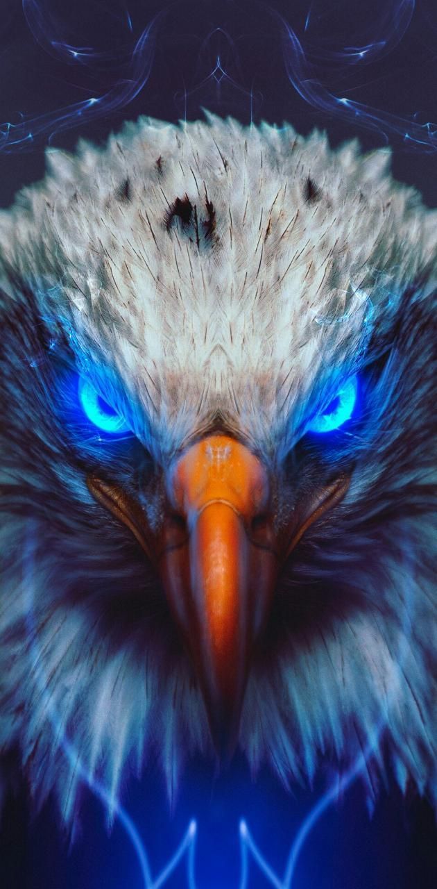630x1280 Eagle wallpaper