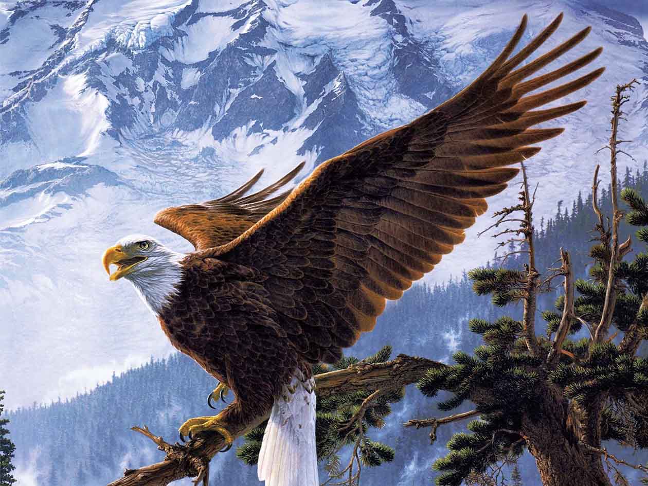 1260x945 EAGLE 3D LENTICULAR INTERNALLY FRAMED ART 14 X 18