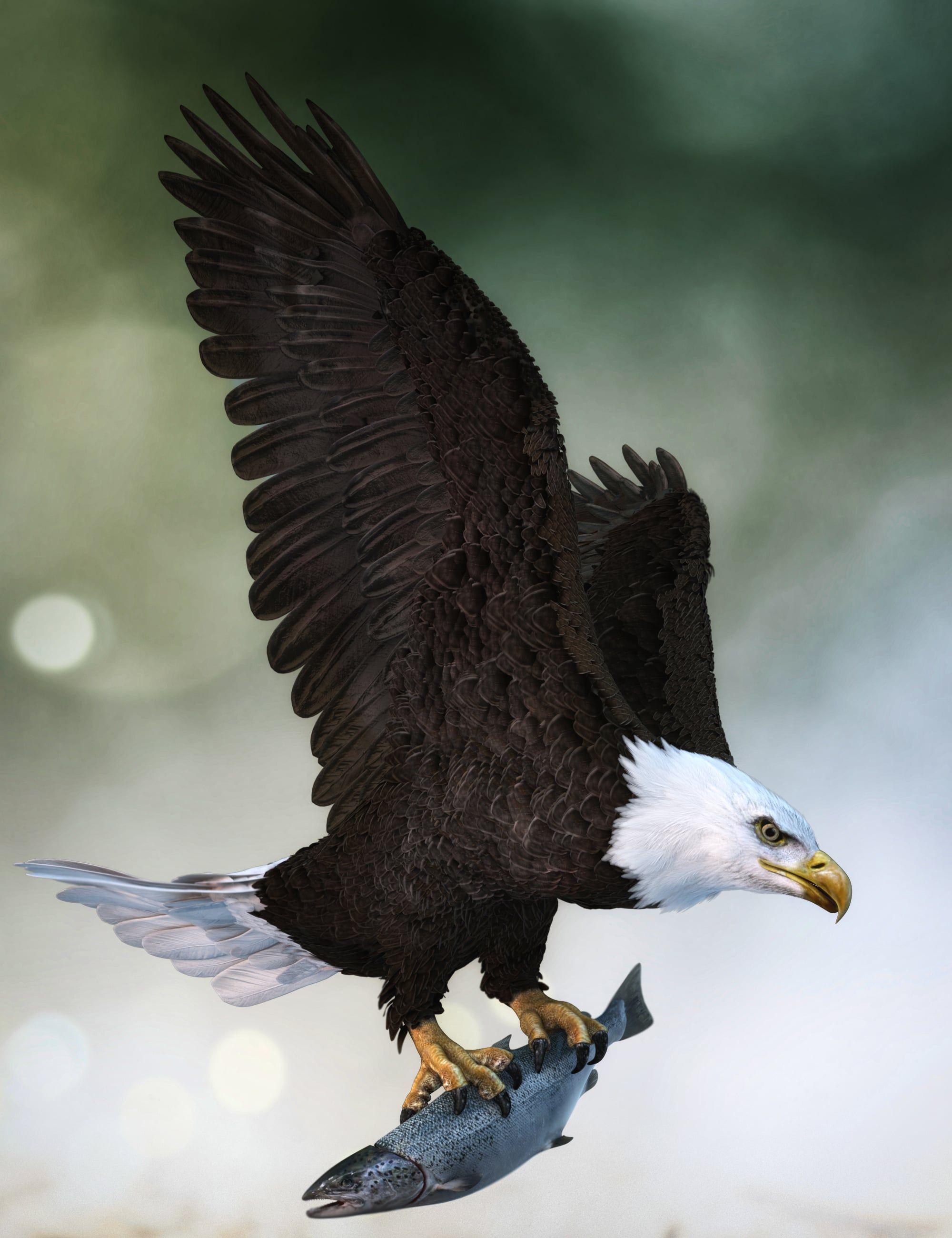 2000x2600 Bald Eagle
