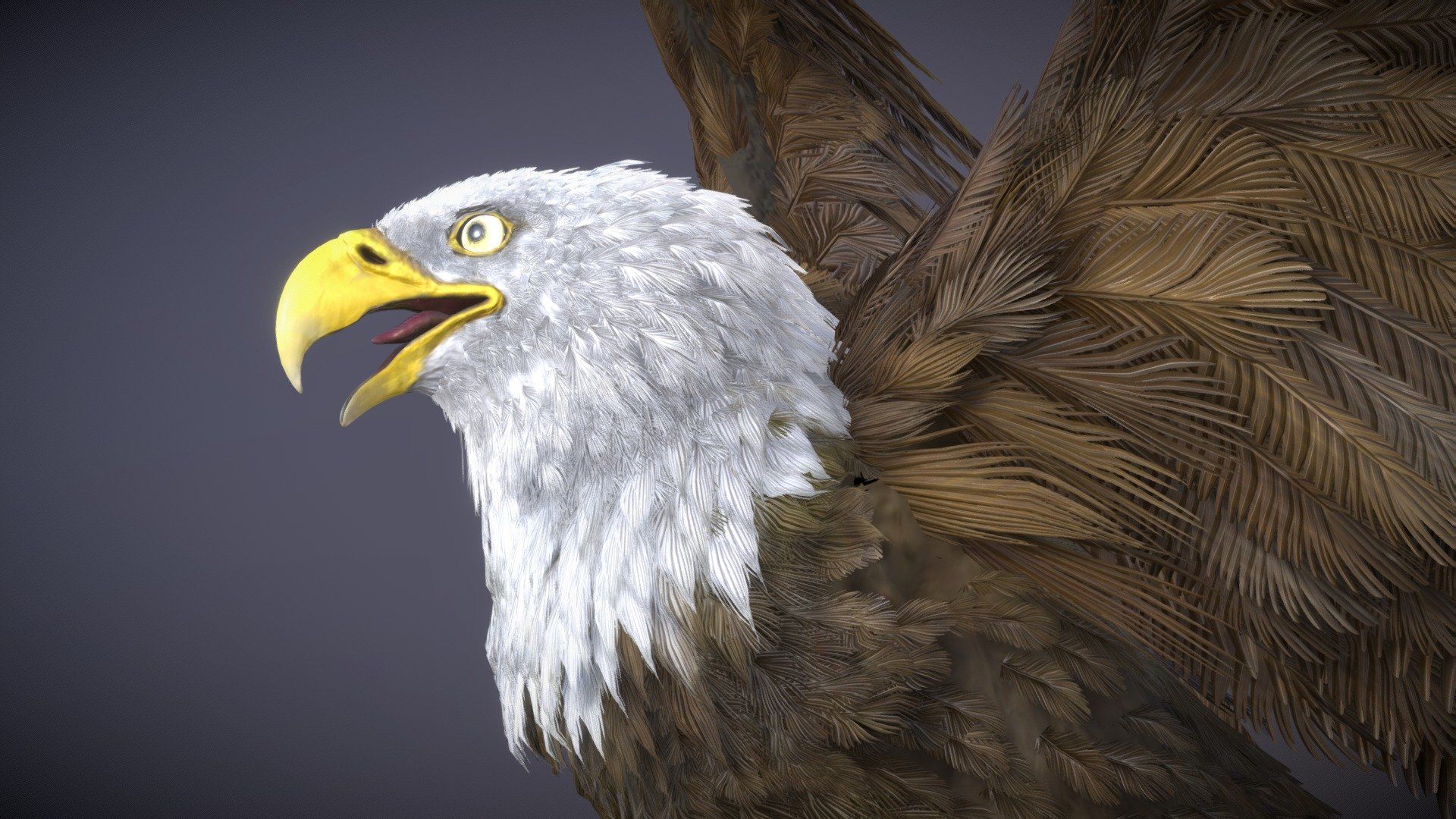 1920x1080 Bald Eagle model by Nestaeric [7b43fdc]