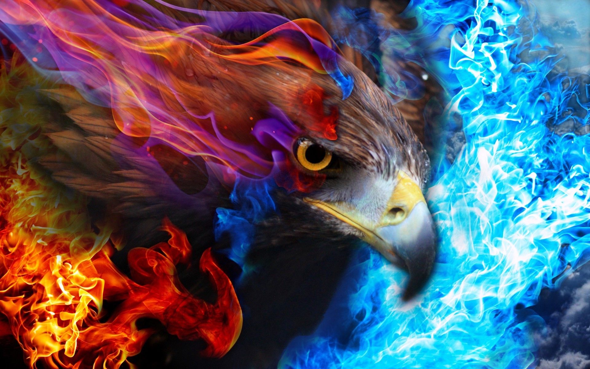 1920x1200 Eagle's Fiery Gaze: Vibrant Flames and Colors HD Wallpaperx1200