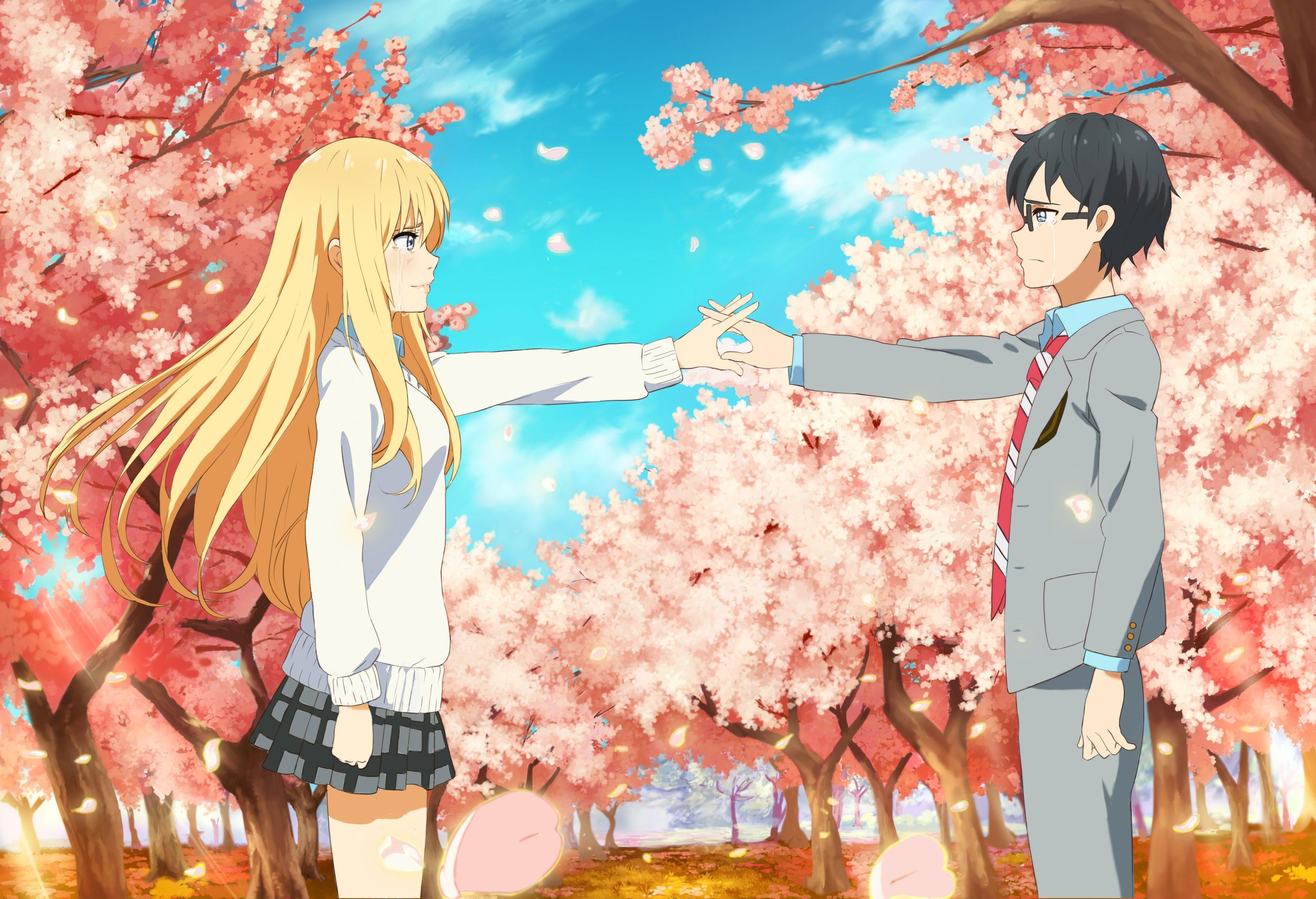 3300x2255 Your Lie In April Computer Wallpaper .
