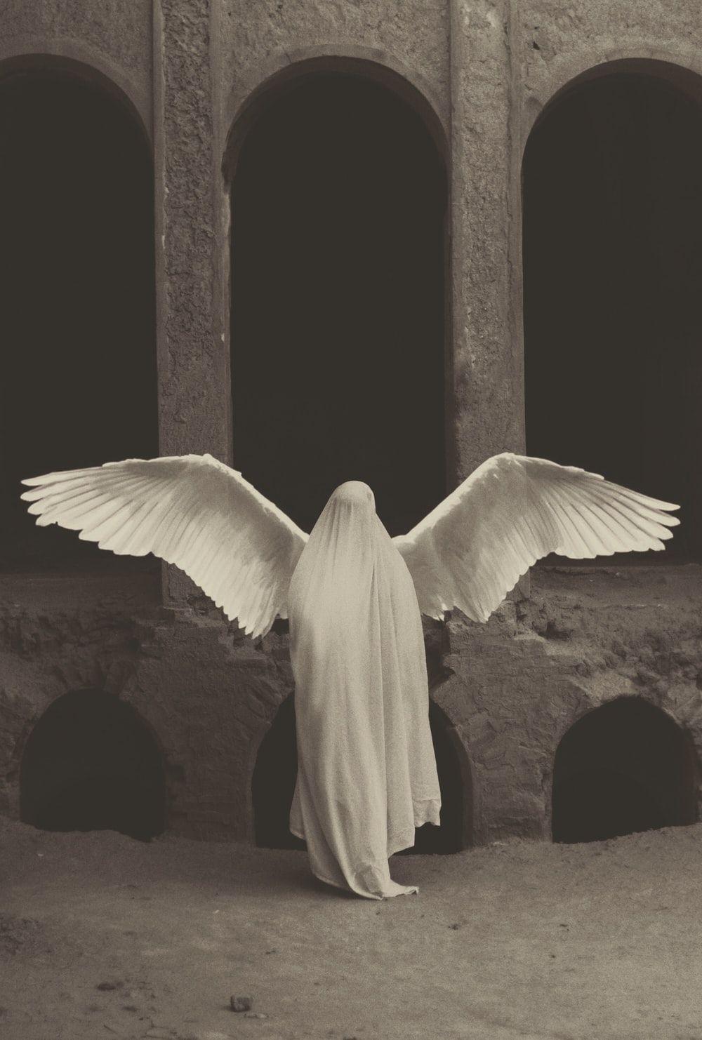 1000x1482 Angel Picture. Download Free Image .com
