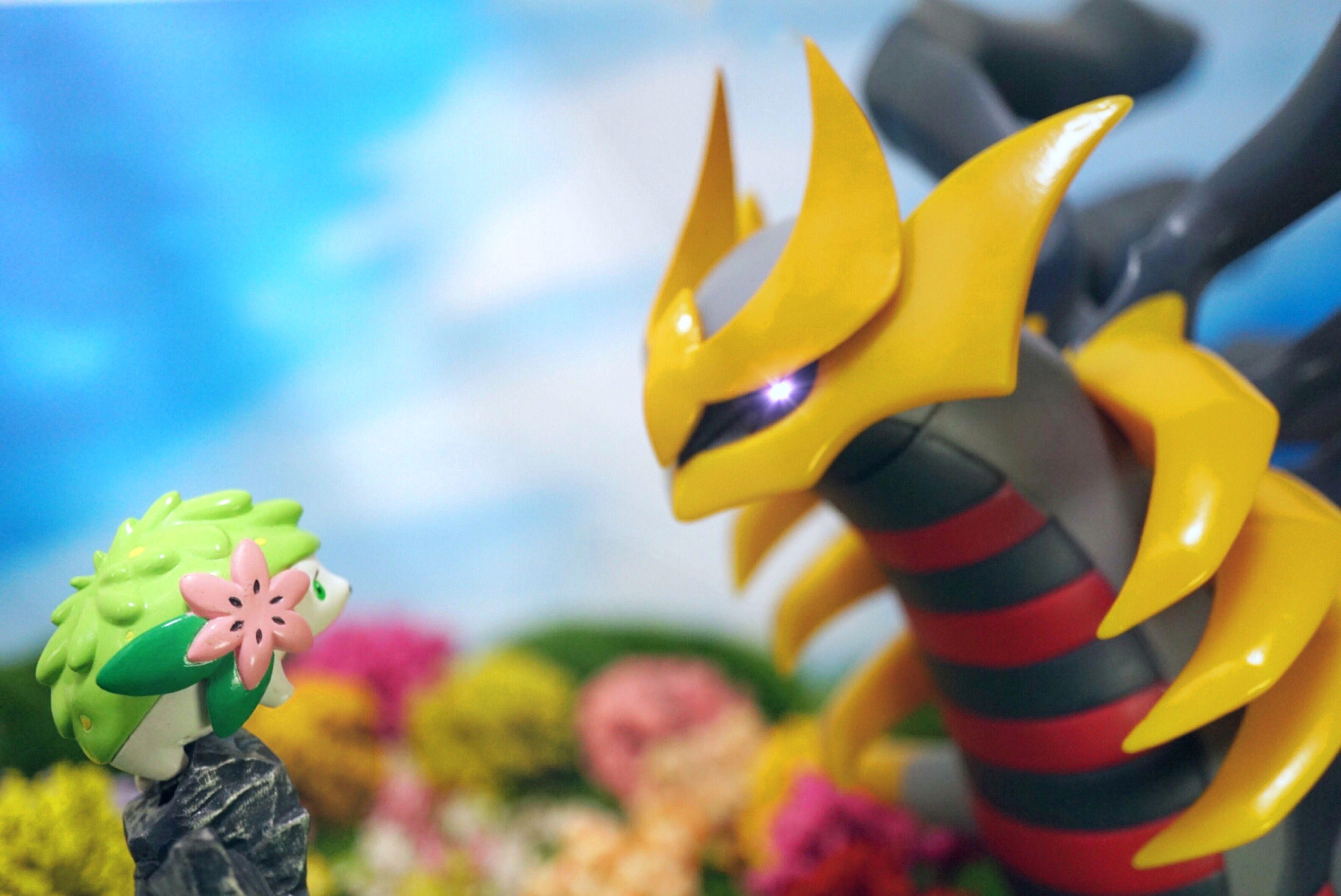 4096x2738 Giratina meets shaymin #pokemontoys .
