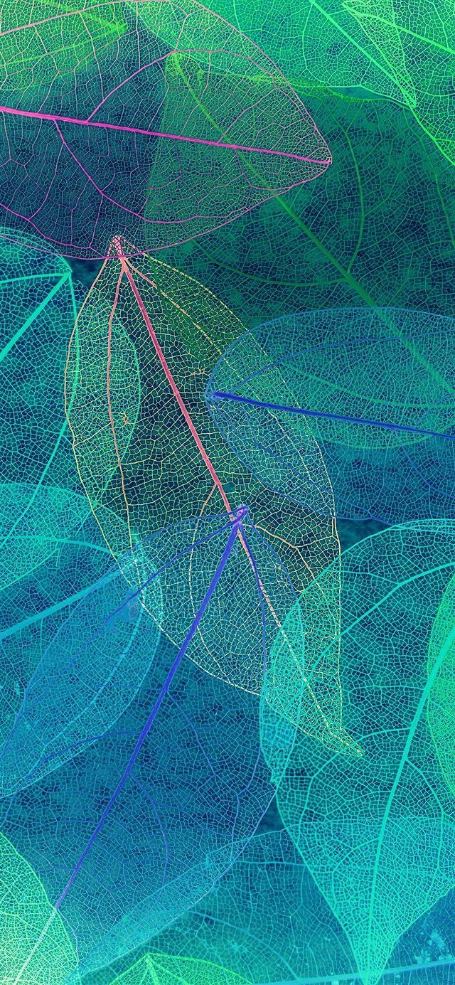 640x1385 Color blue leaf art fall pattern iPhone .