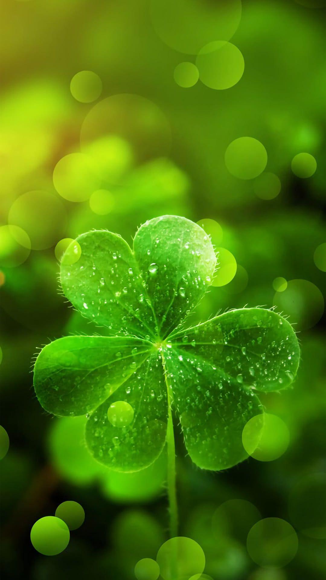 1080x1920 Clover. Easter wallpaper, St patricks .com