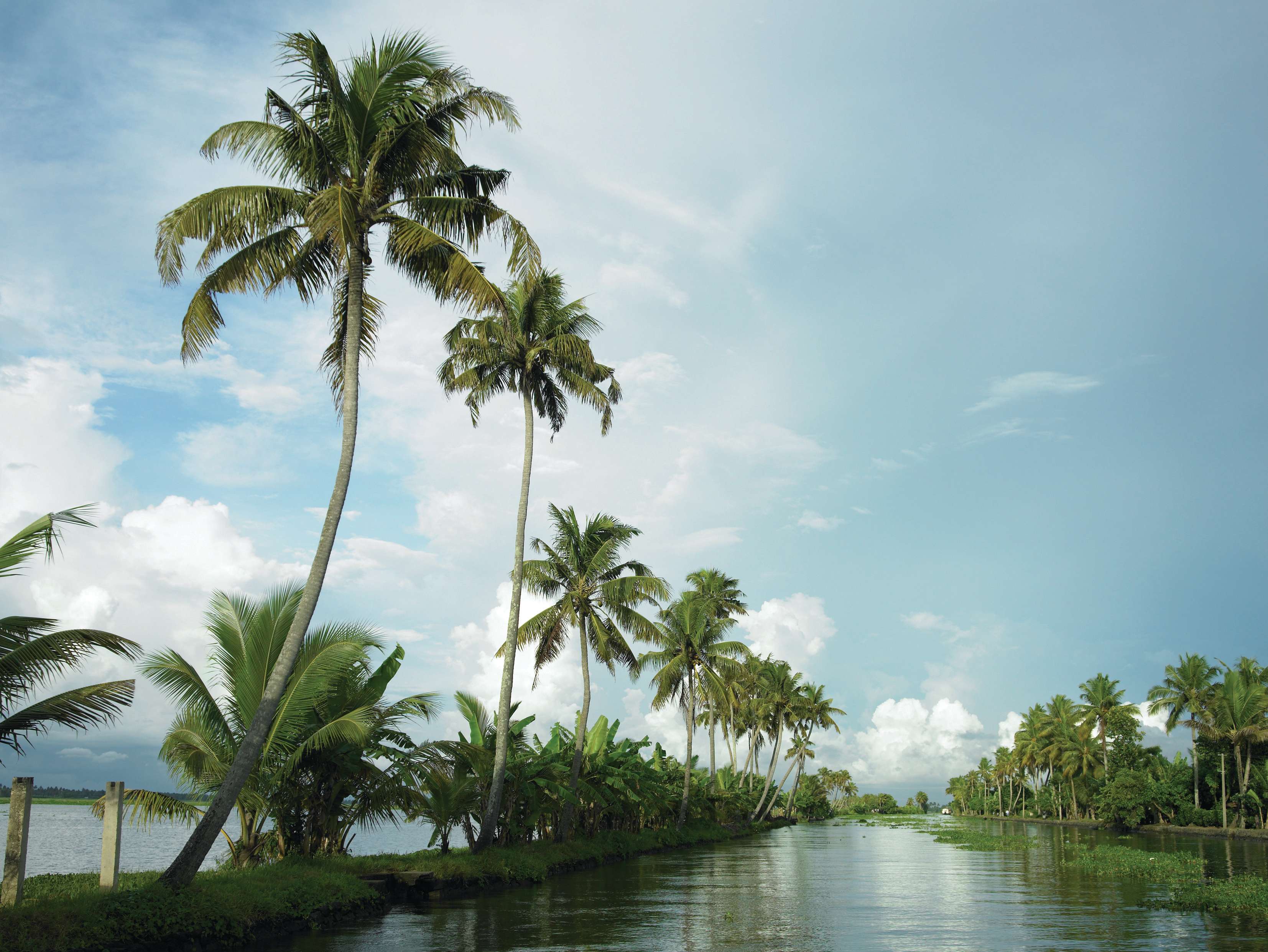 Kerala Backwaters Wallpapers - Top Free Kerala Backwaters Backgrounds ...