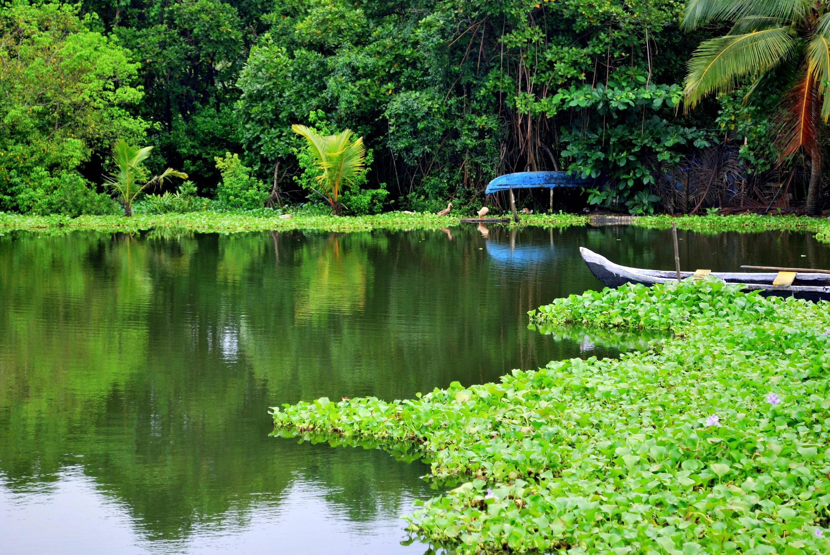 Kerala Backwaters Wallpapers - Top Free Kerala Backwaters Backgrounds 