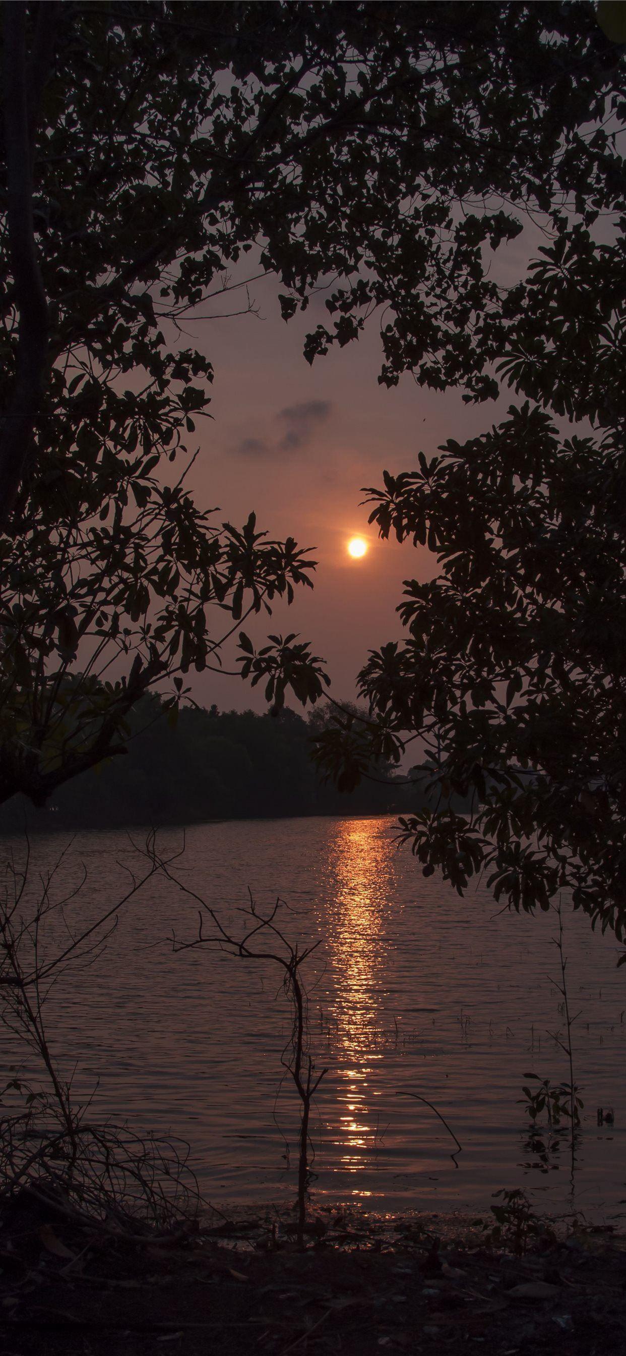1242x2688 Kerala Backwaters Houseboat Experience .