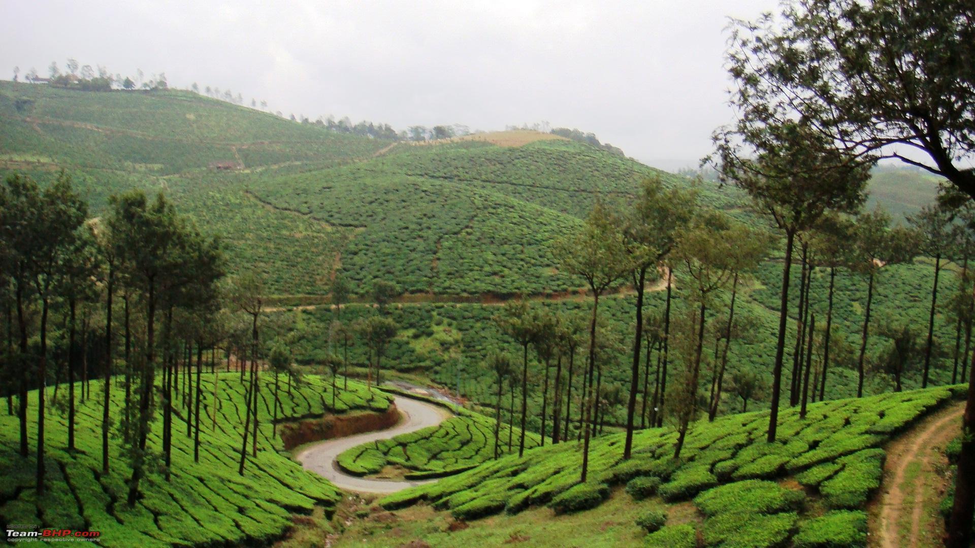 1920x1080 Kerala Nature