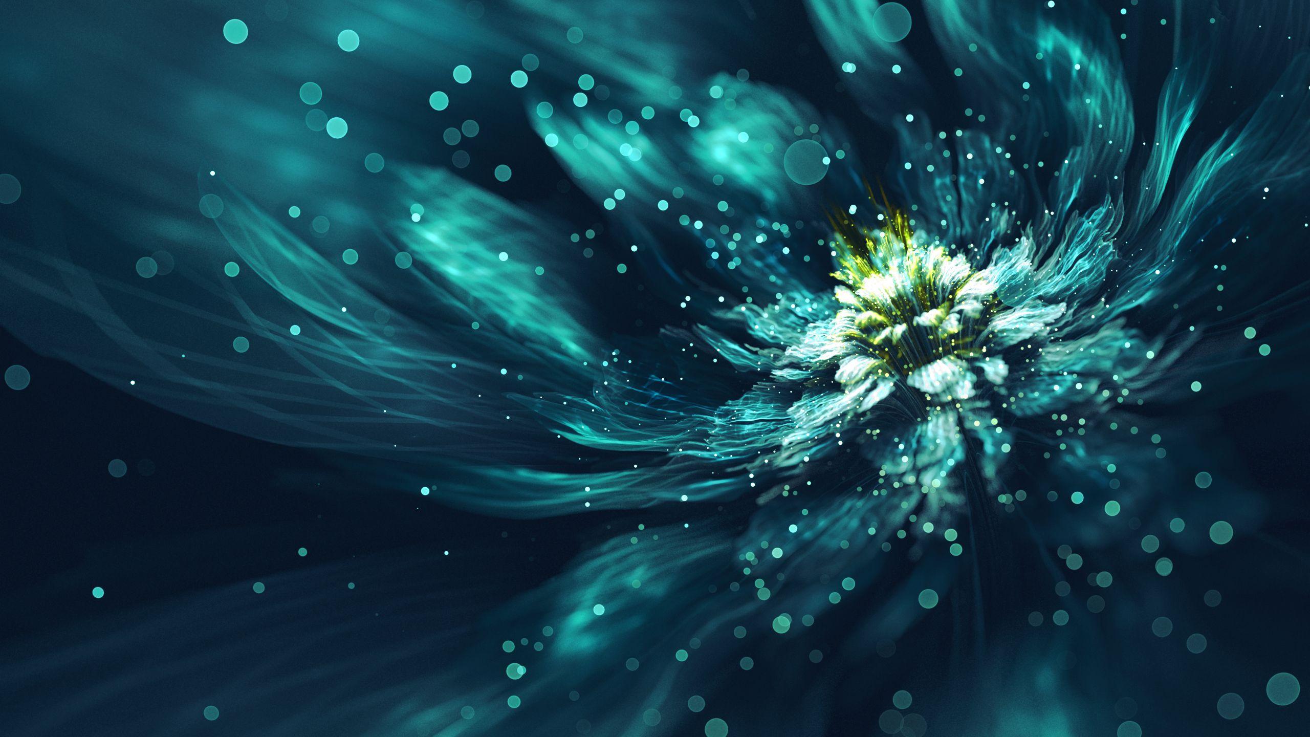 Fractal Flower Wallpapers Top Free Fractal Flower Backgrounds
