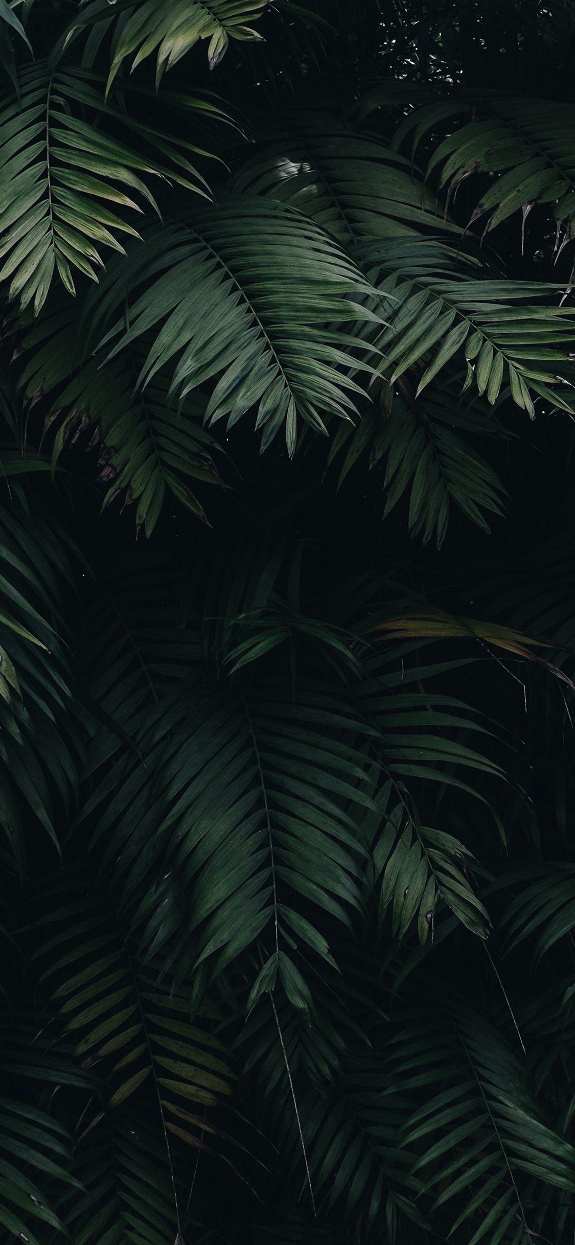 1125x2436 Summer Tree Leaf Vacation Green .