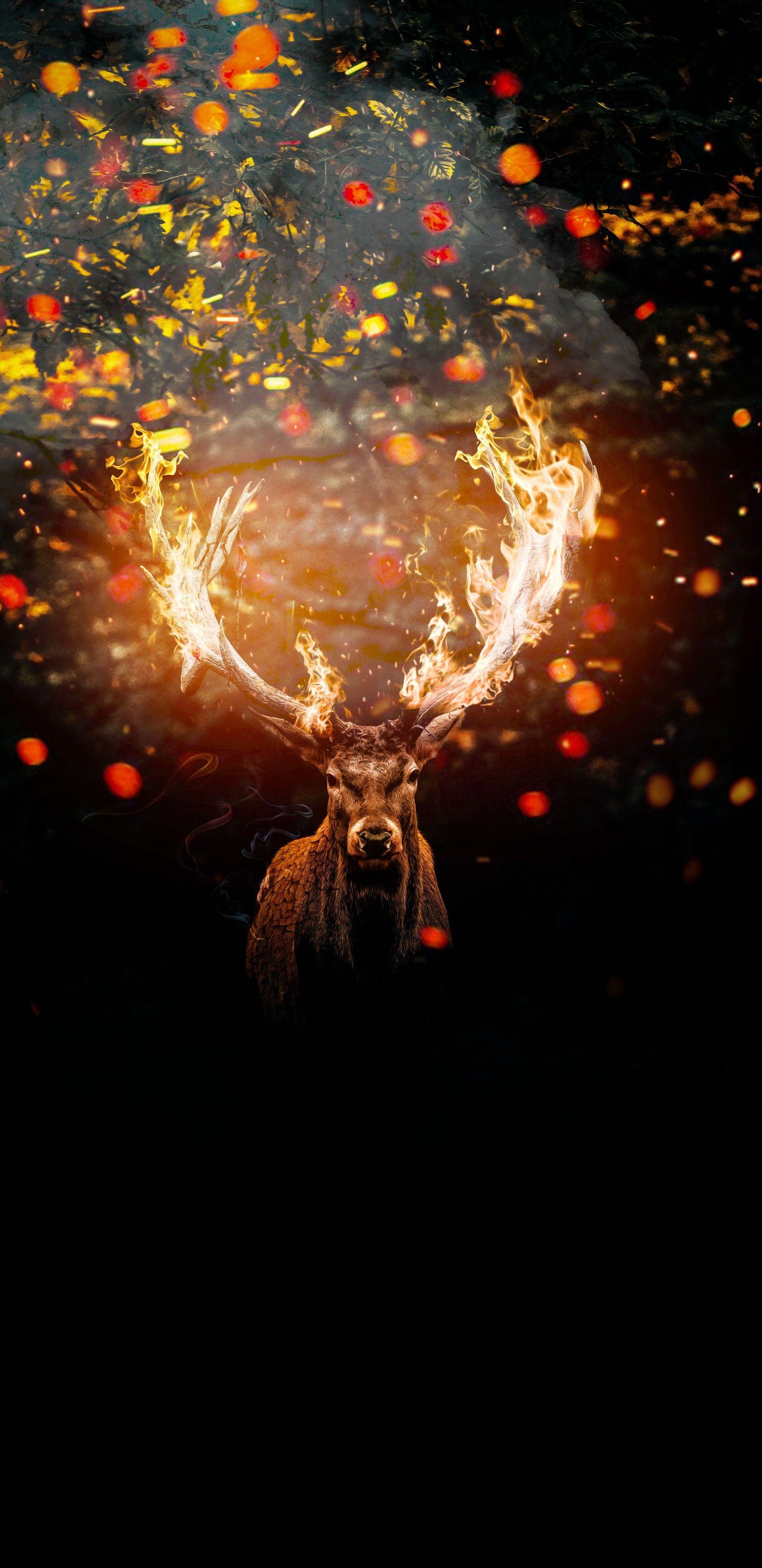 1440x2960 wallpaper deer, horns .