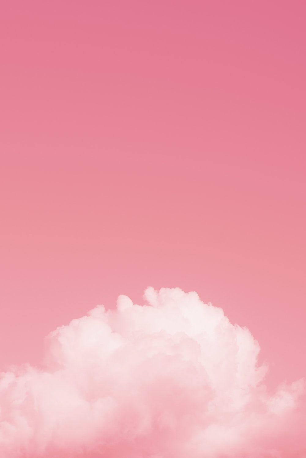 1000x1499 Pink Wallpaper: Free HD Download .com