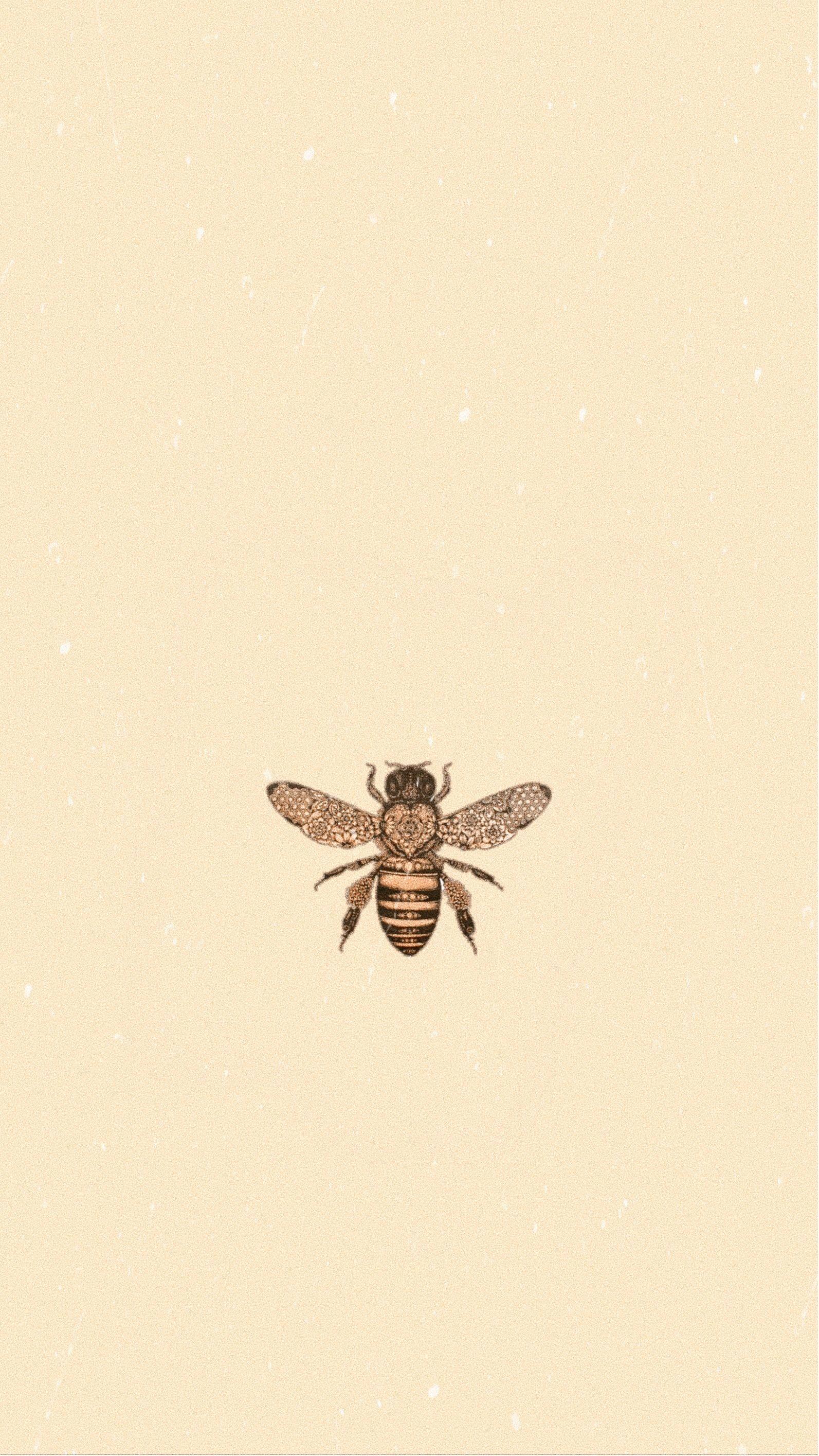 Vintage Bee Wallpapers - Top Free Vintage Bee Backgrounds - WallpaperAccess