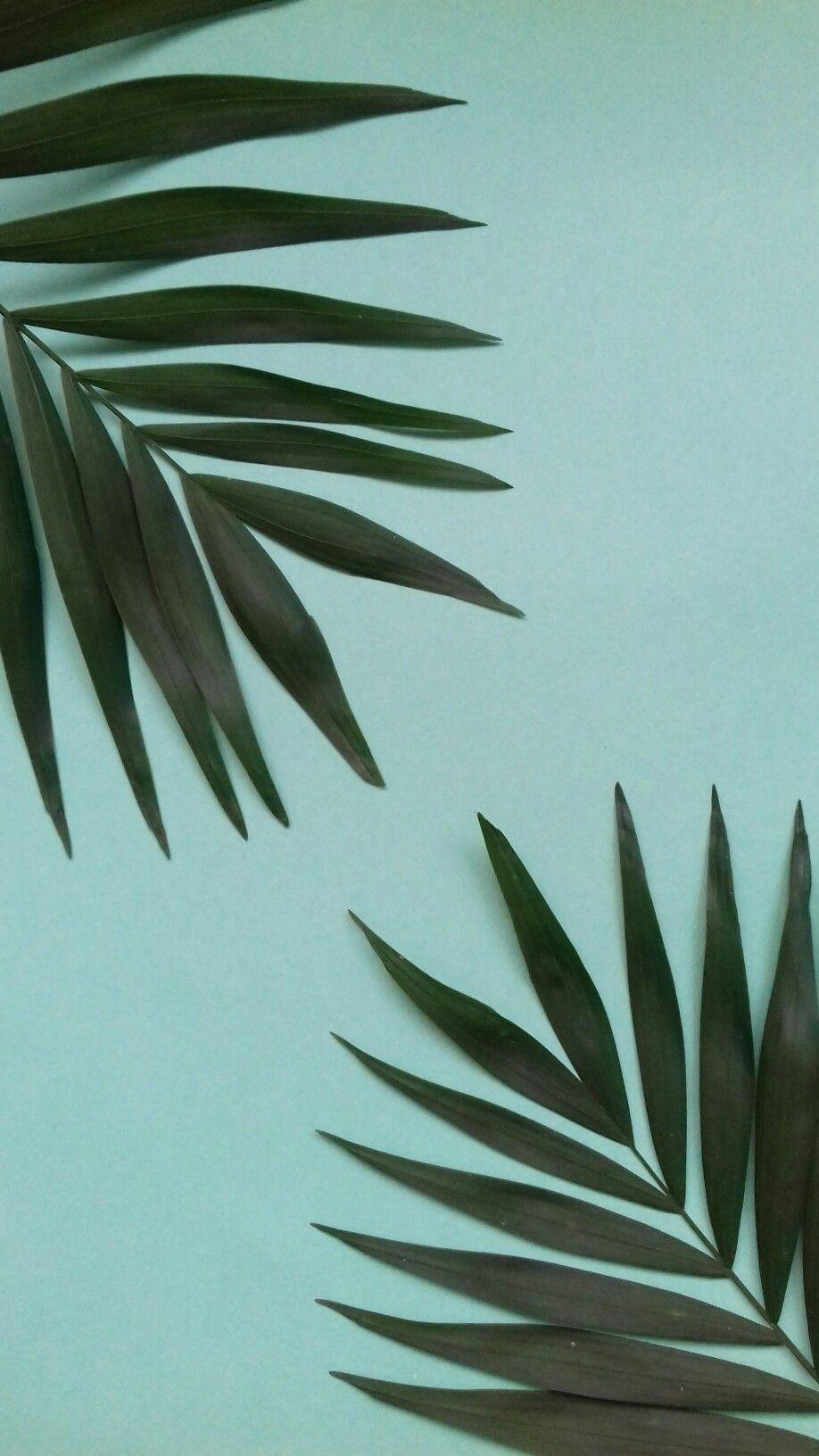918x1632 Aesthetic Summer Leaves