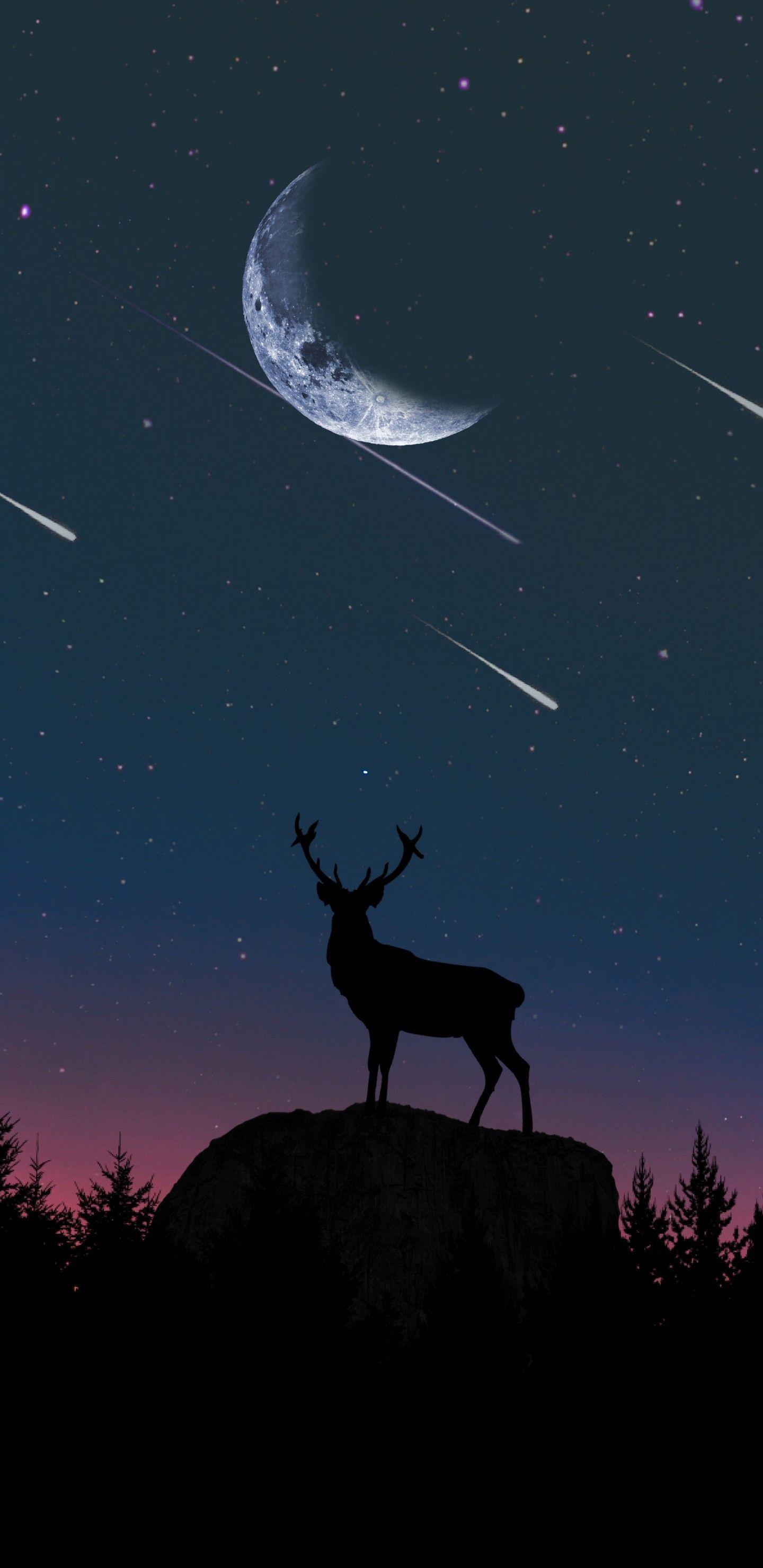 1440x2960 Download 1440x2960 Deer, Falling Stars .
